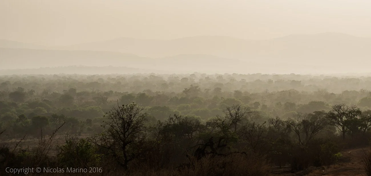  Landscape in the Fouta Djalon. Guinea 