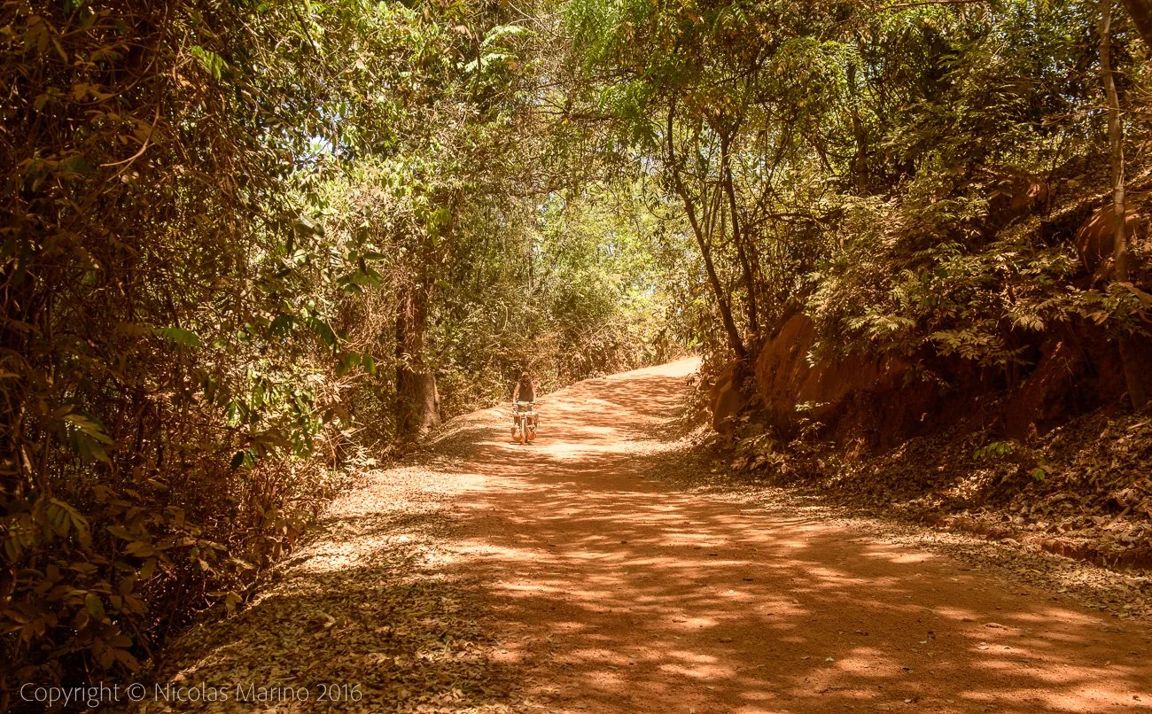  Cycling in the woods of the Fouta Djalon. Guinea 