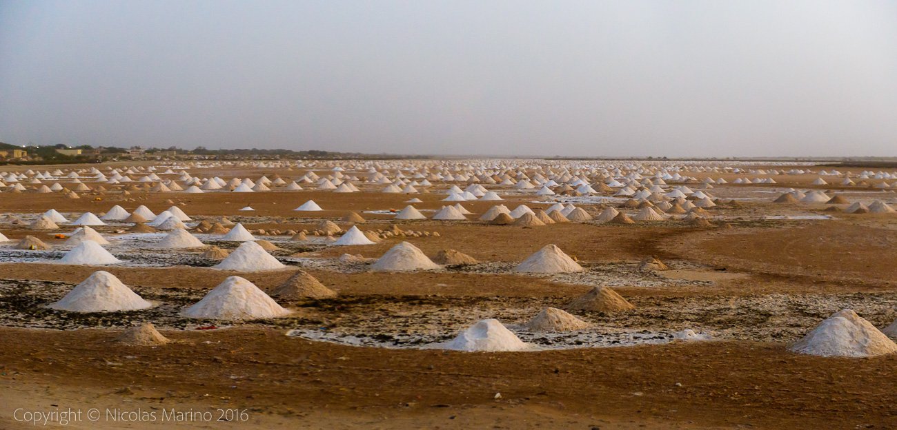  Salt fields. Senegal 