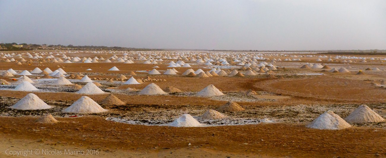  Salt fields. Senegal 