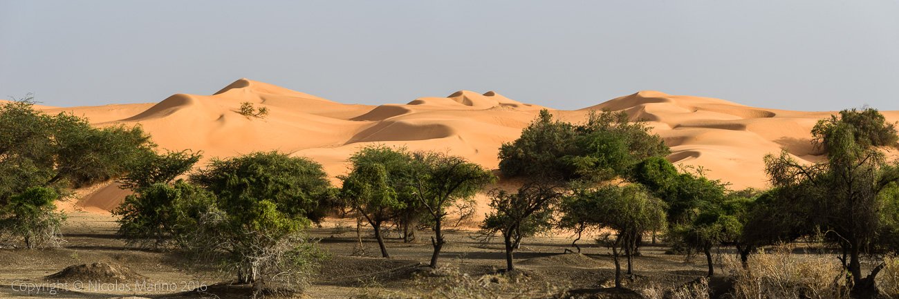  Sahara desert. Mauritania 