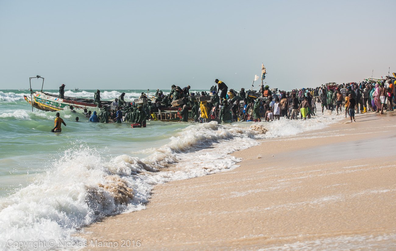  FIshermen, peddlers, boats in Nouakchot's famous fish market 