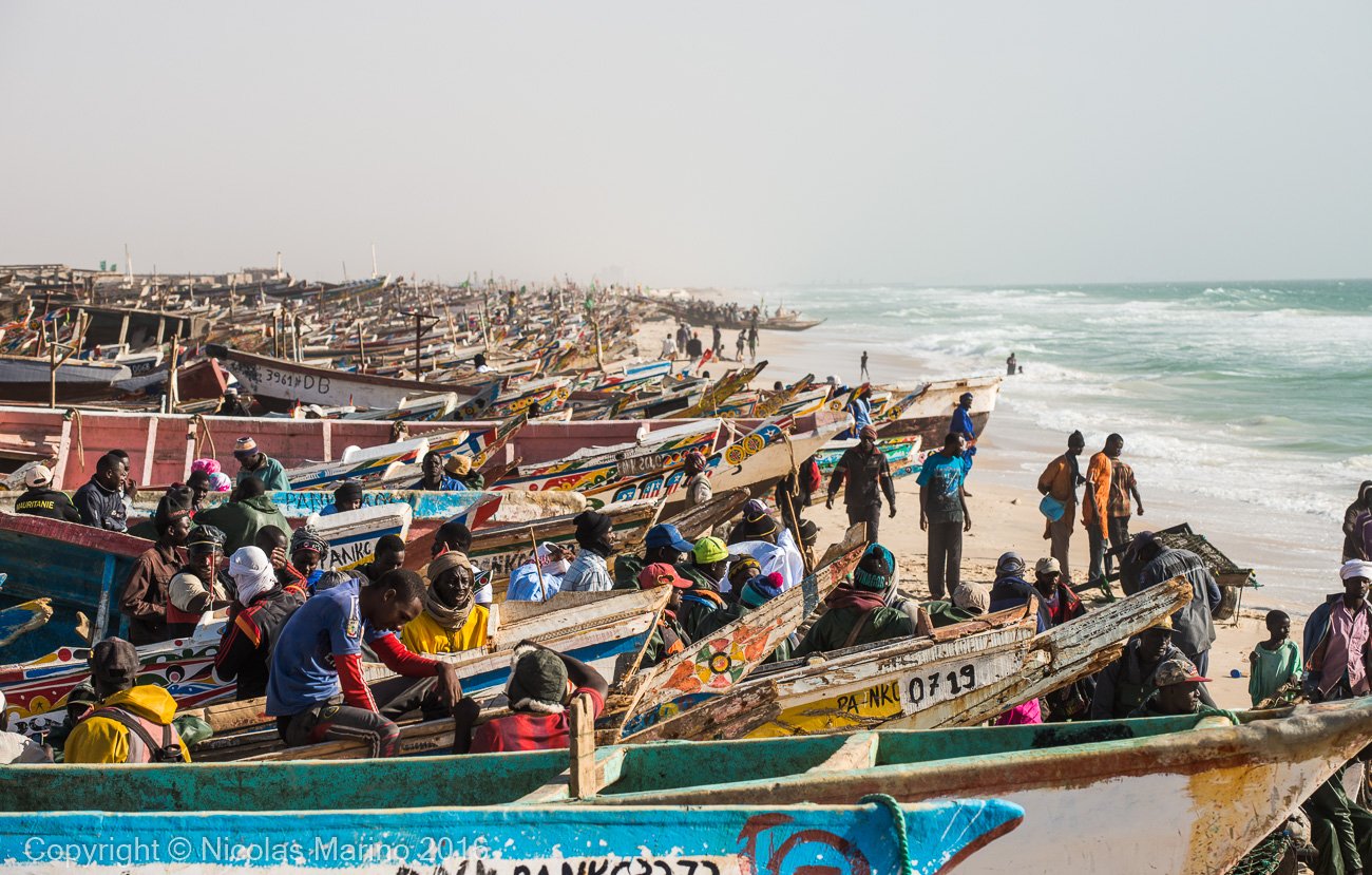  FIshermen, peddlers, boats in Nouakchot's famous fish market 