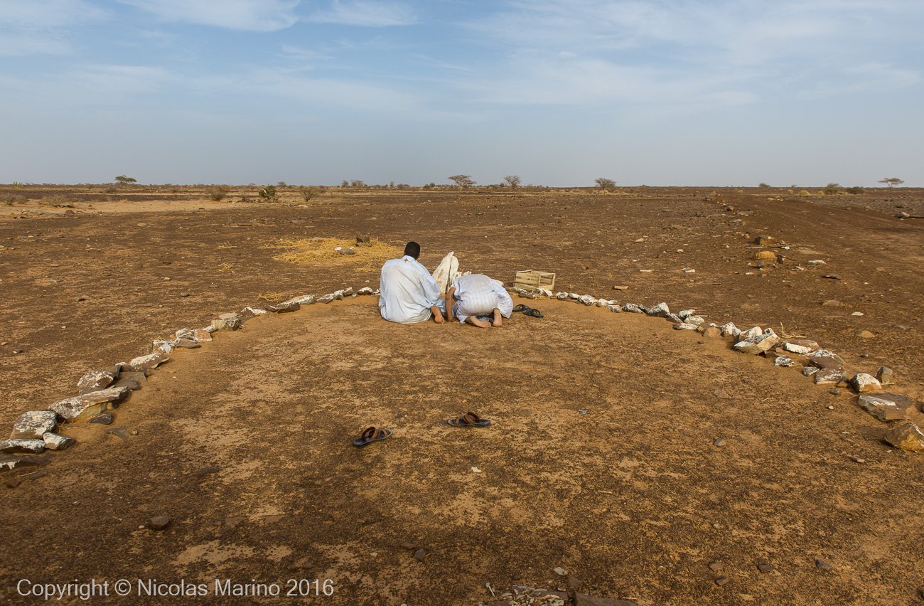  Afternoon praying time in the Adrar. Mauritania 