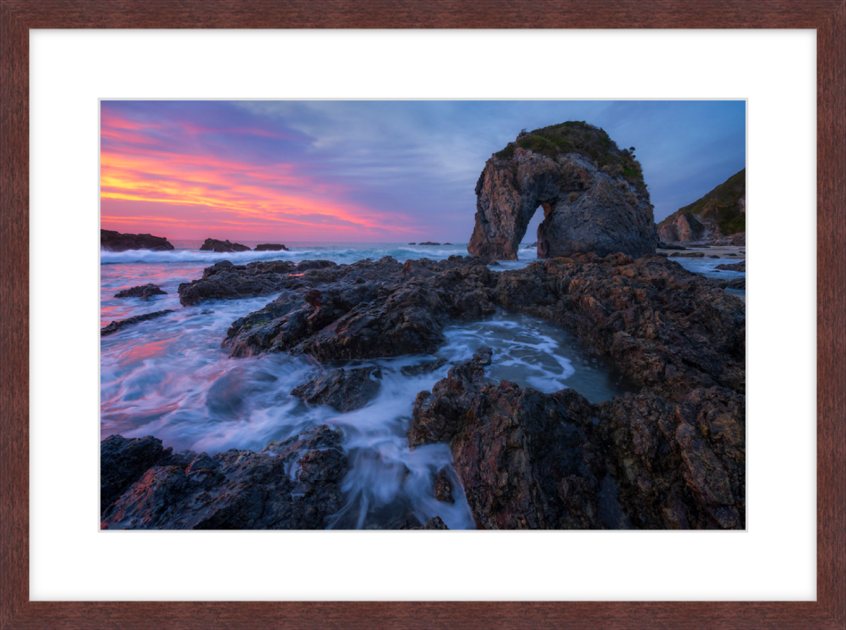 Seahorse - Mocha.png