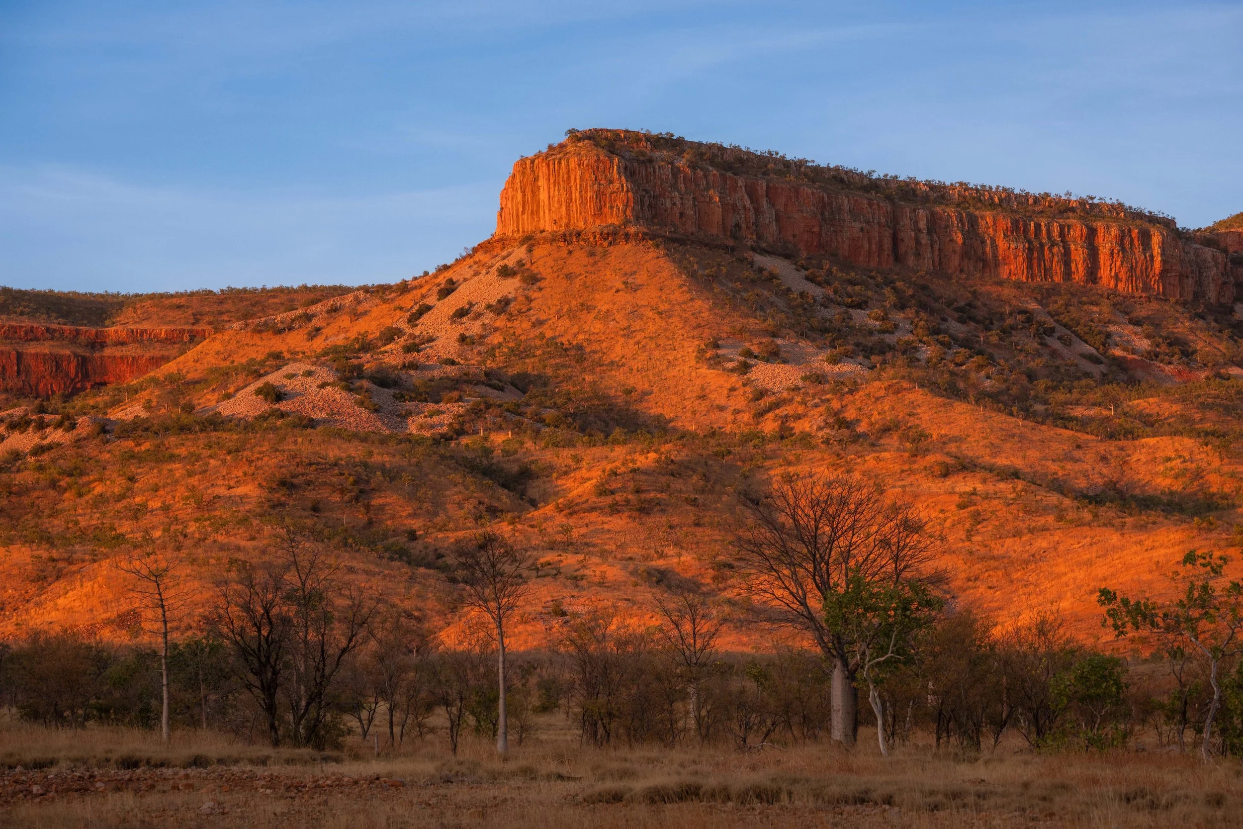 Sunburnt (2019) - El Questro, WA, Australia

 Buy Print 