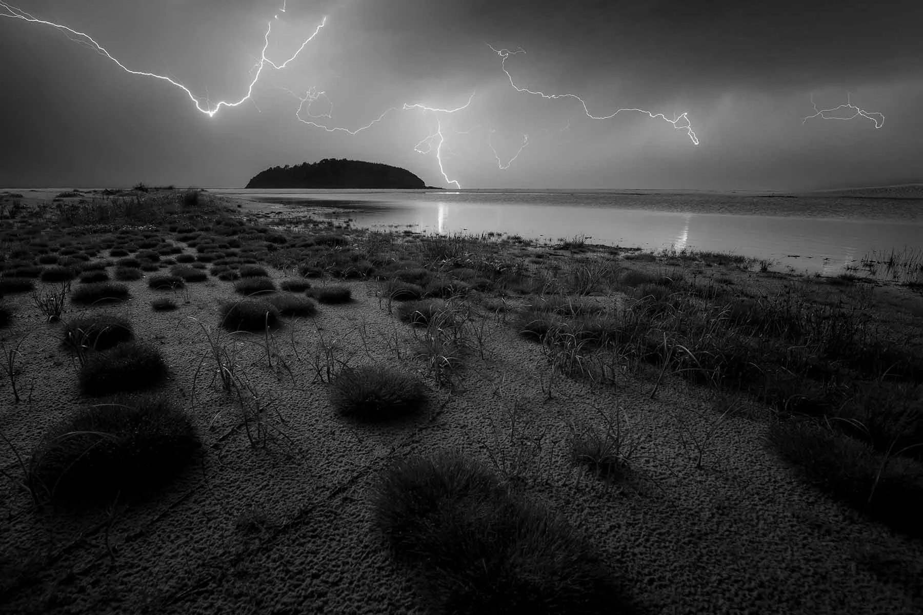 Crawlers (2019) - Lake Tabourie, NSW, Australia

 Buy Print 