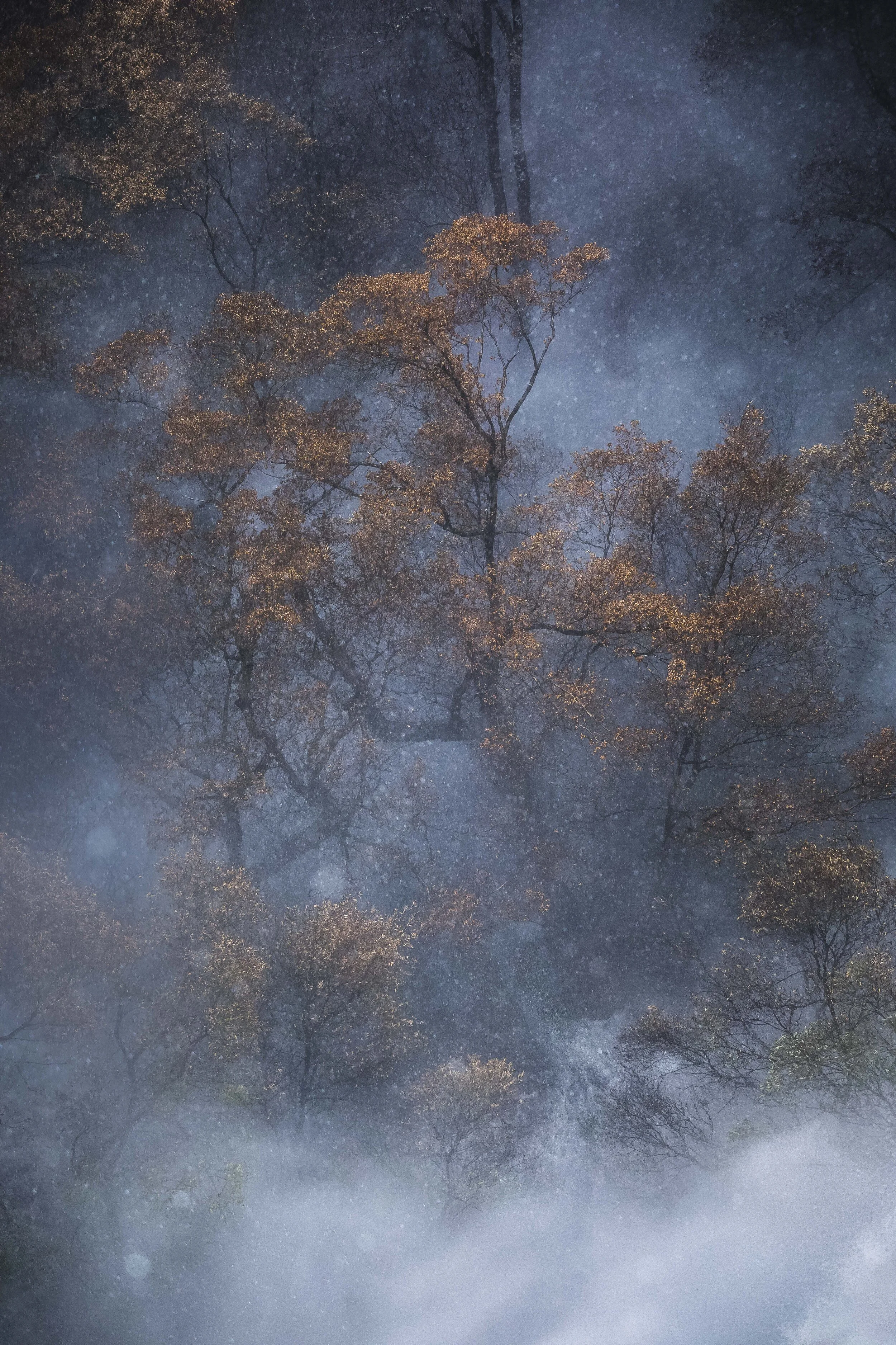 Burnt tree being splashed by water from a waterfall