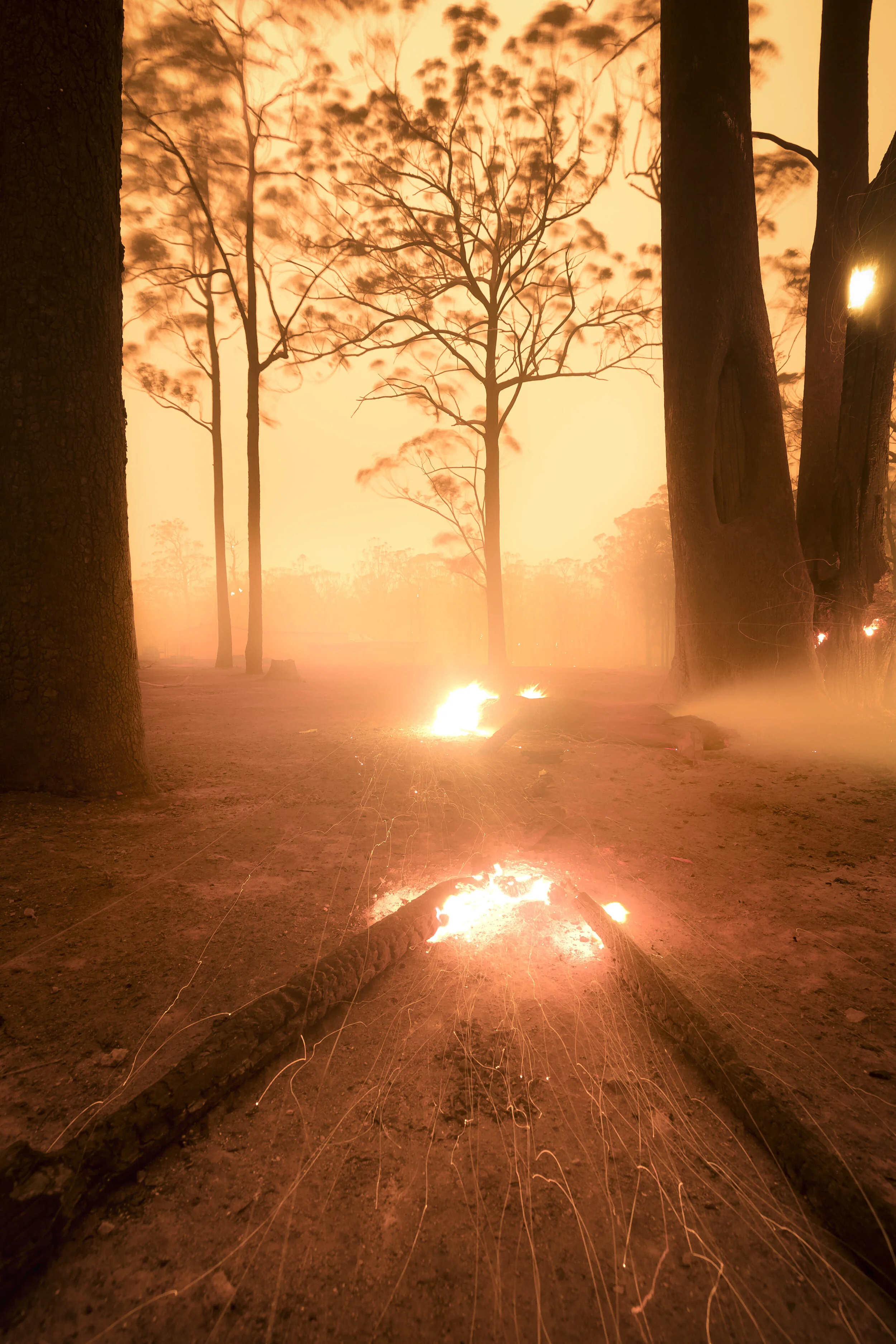 Bushfire burning in the landscape with two logs aflame in the foreground