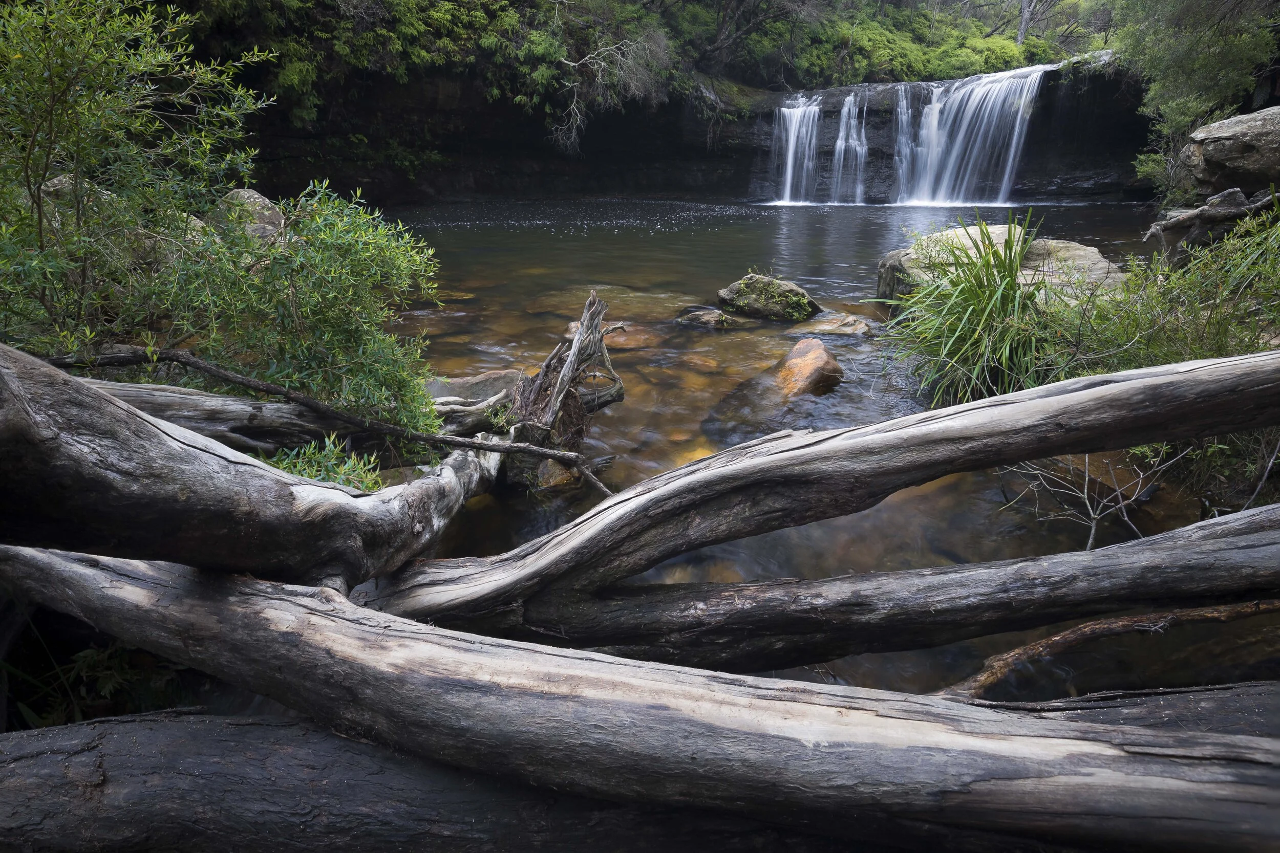 Logs in the foreground pointing toward a cascading waterfall