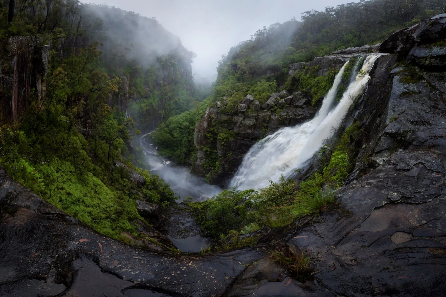 Powerful waterfall of Carrington Falls surrounded by lush greenery