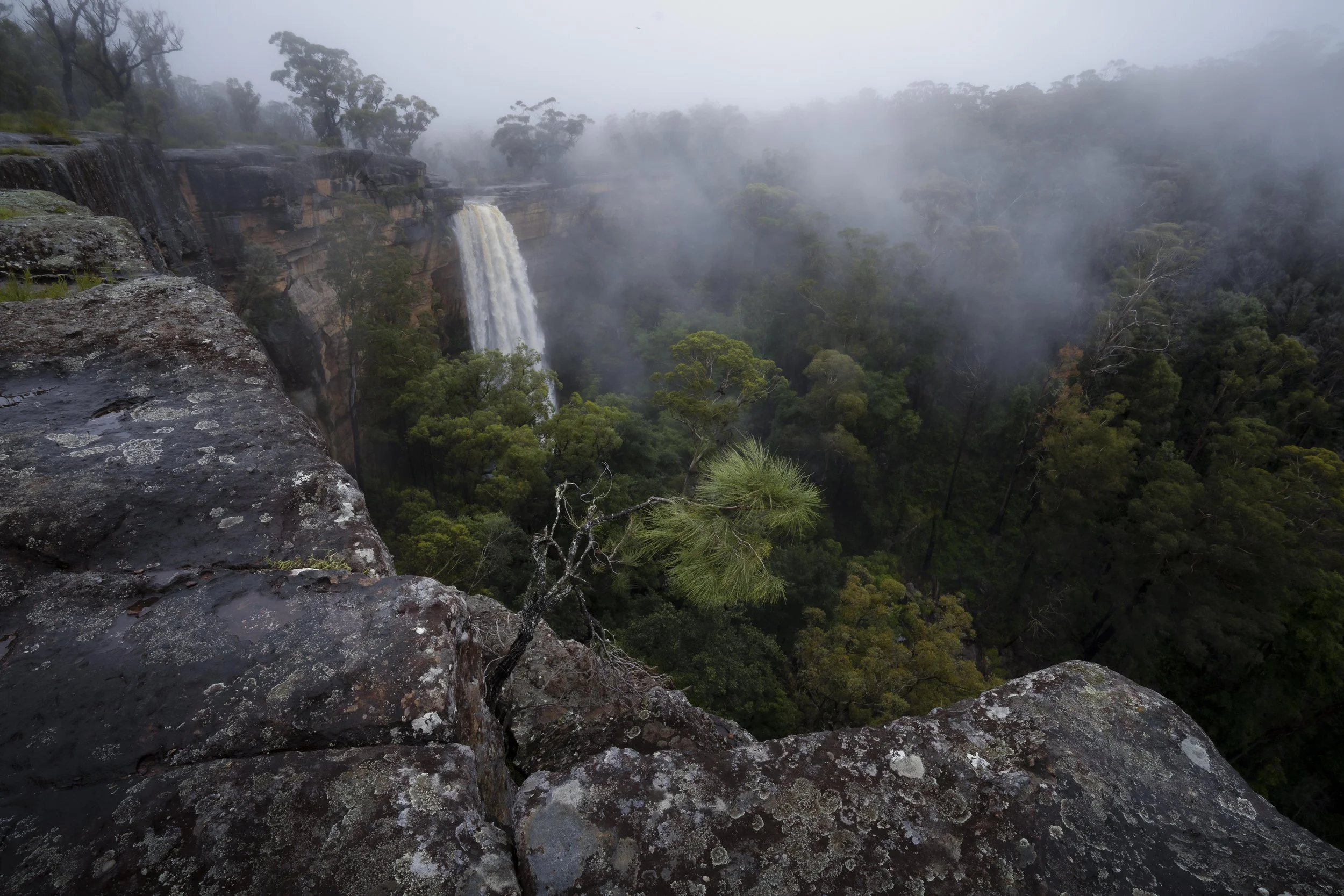 Tianjara Falls cascading through the forest, New South Wales