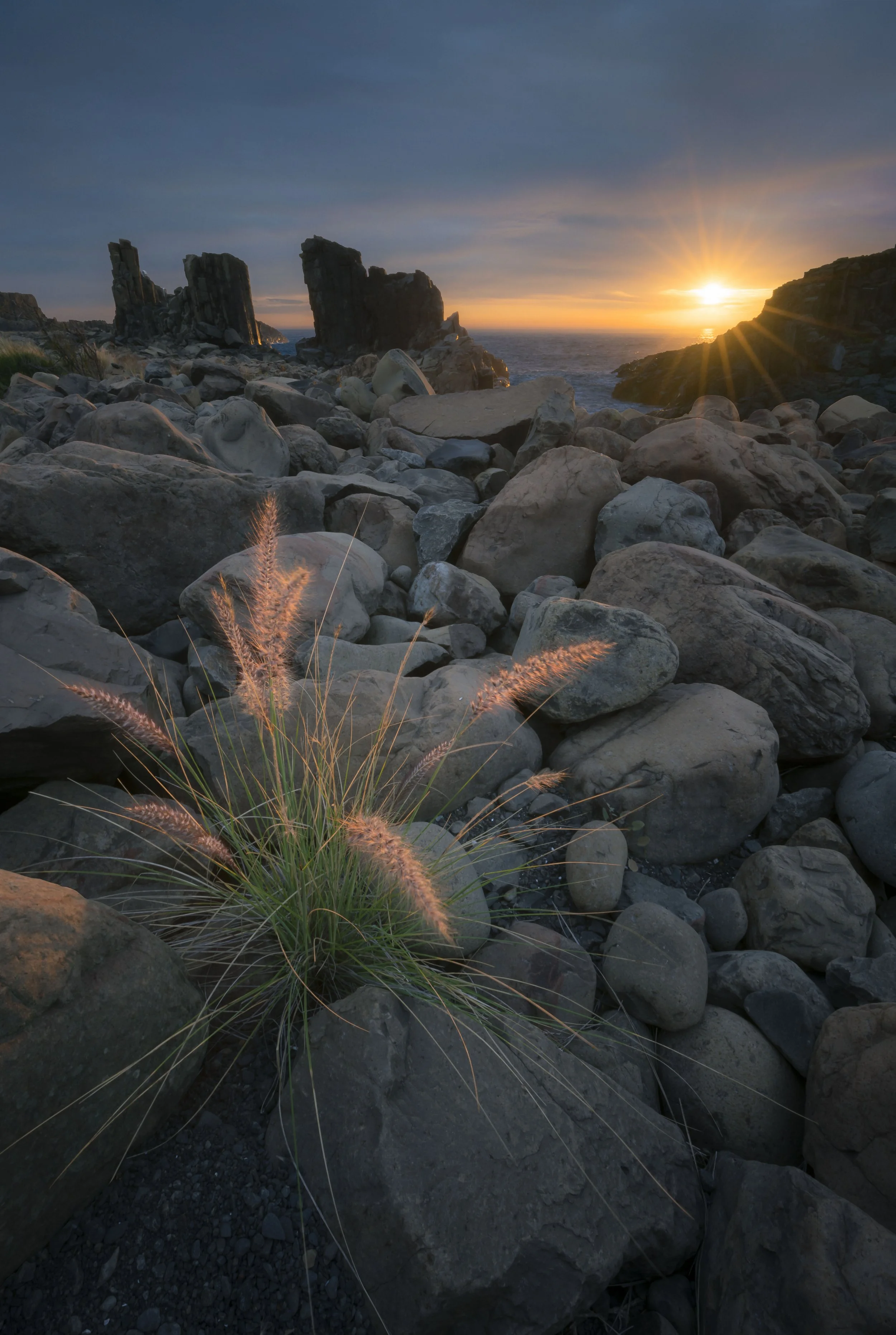 Early morning light illuminating Bombo Quarry rock formations with flowers in the foreground
