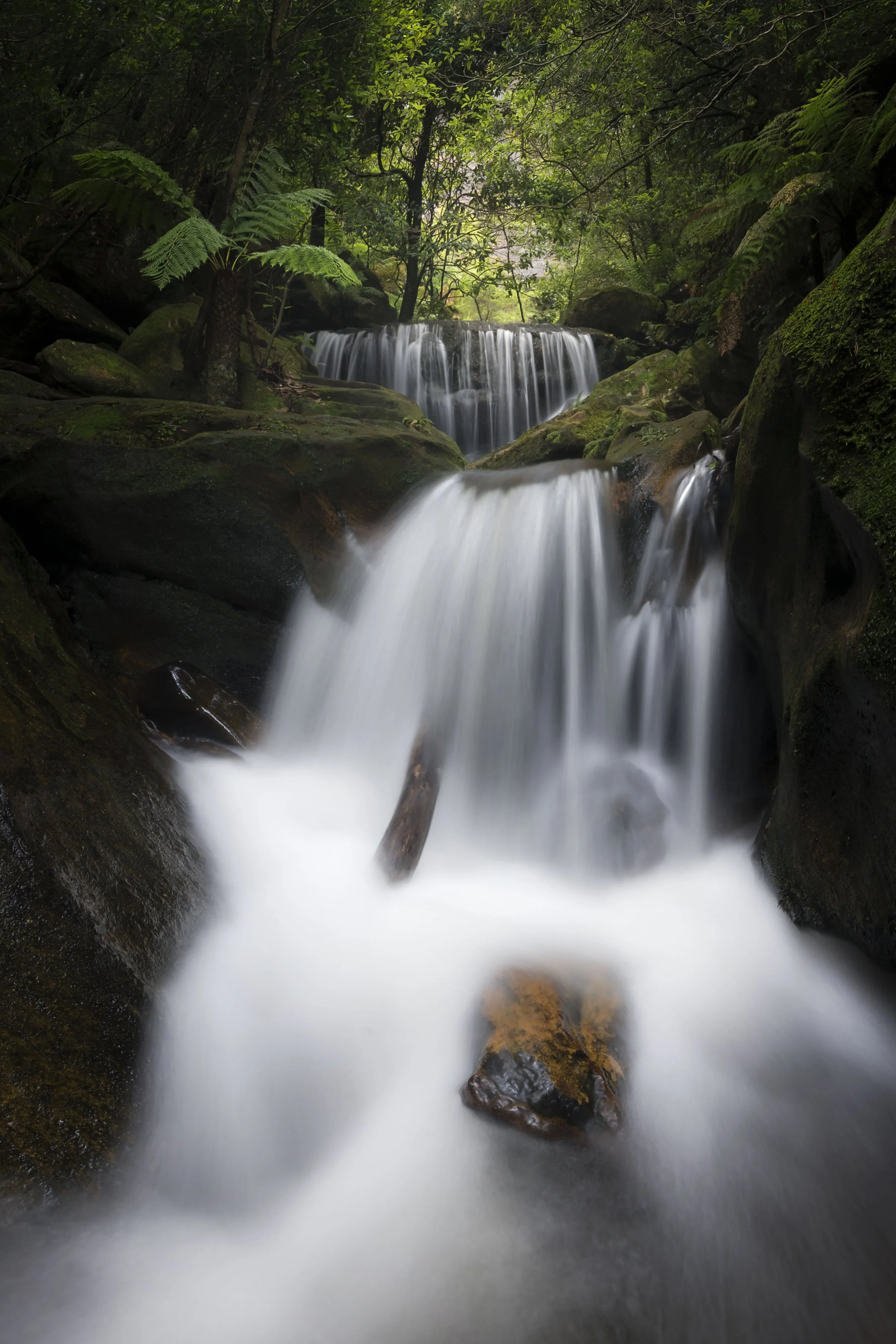 Waterfall cascading through a lush rainforest