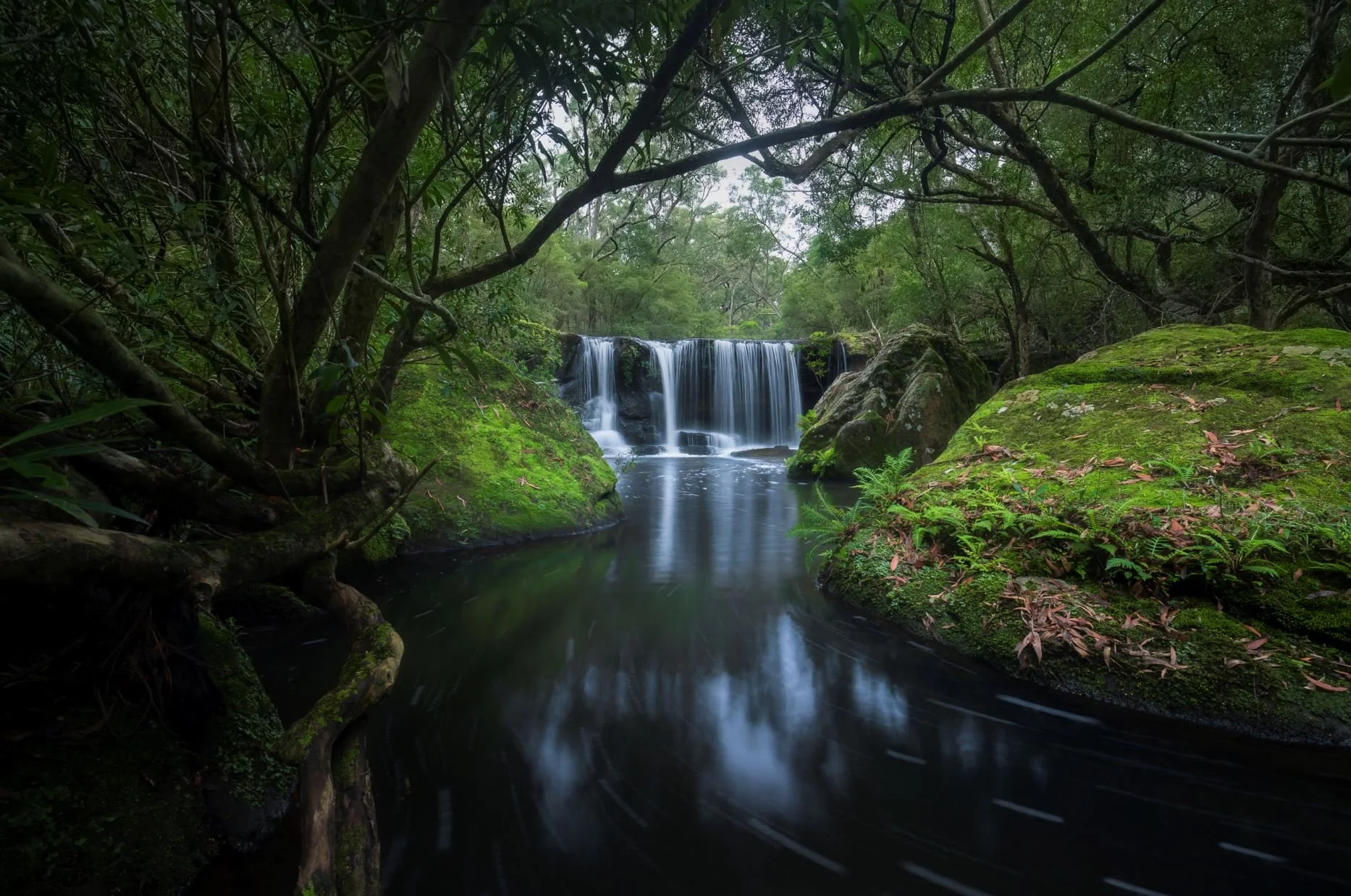 Cascading waterfall in a dense rainforest