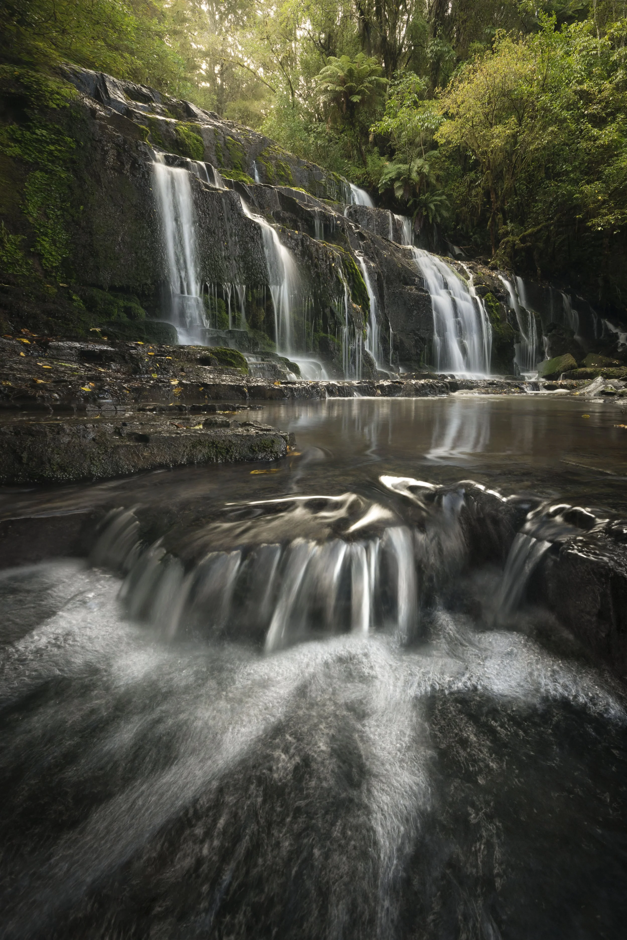 Purakaunui Falls with golden light filtering through the surrounding forest