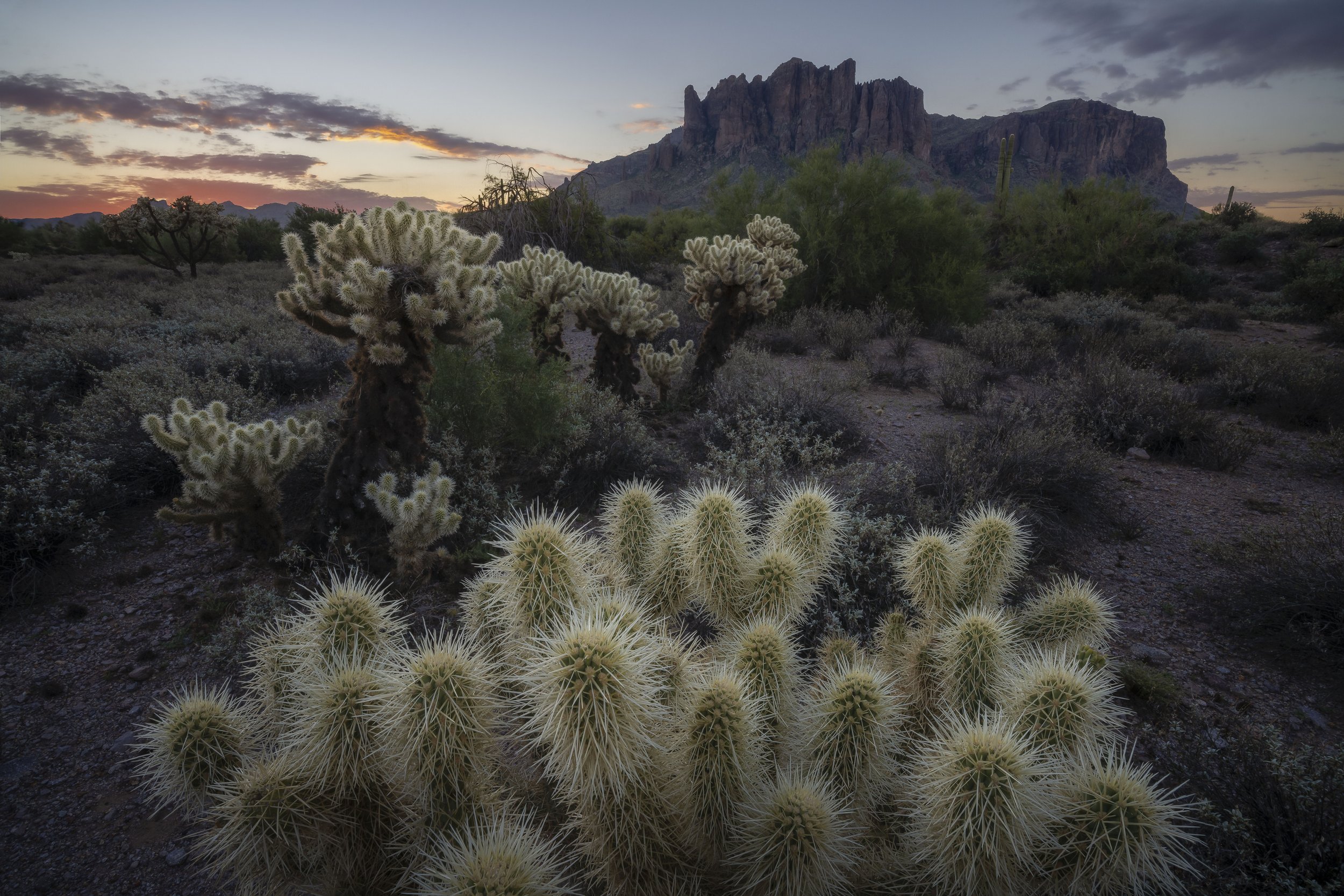 Superstition Mountains with cacti at sunrise, Phoenix
