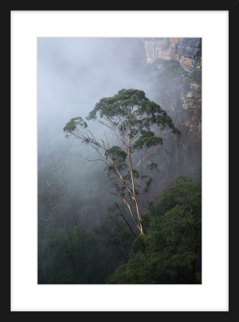 Figure In The Fog - Black.png