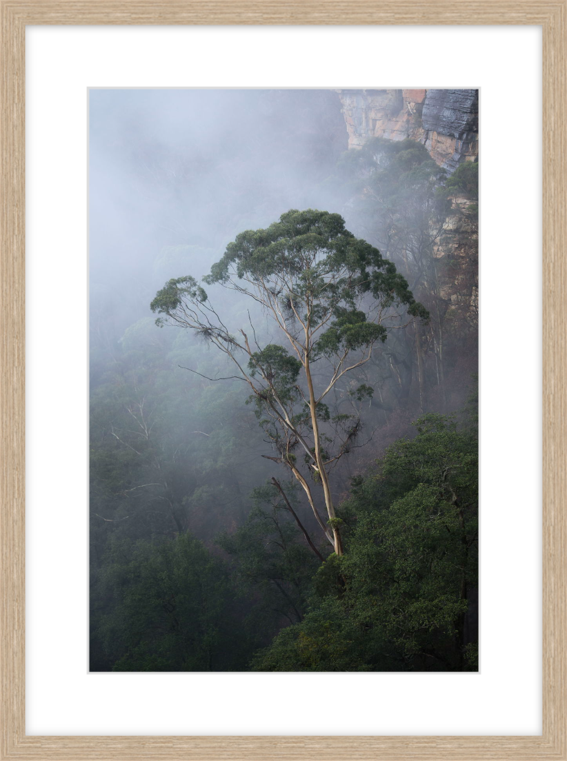Figure In The Fog - Timber.png