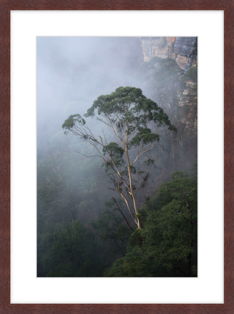 Figure In The Fog - Mocha.png