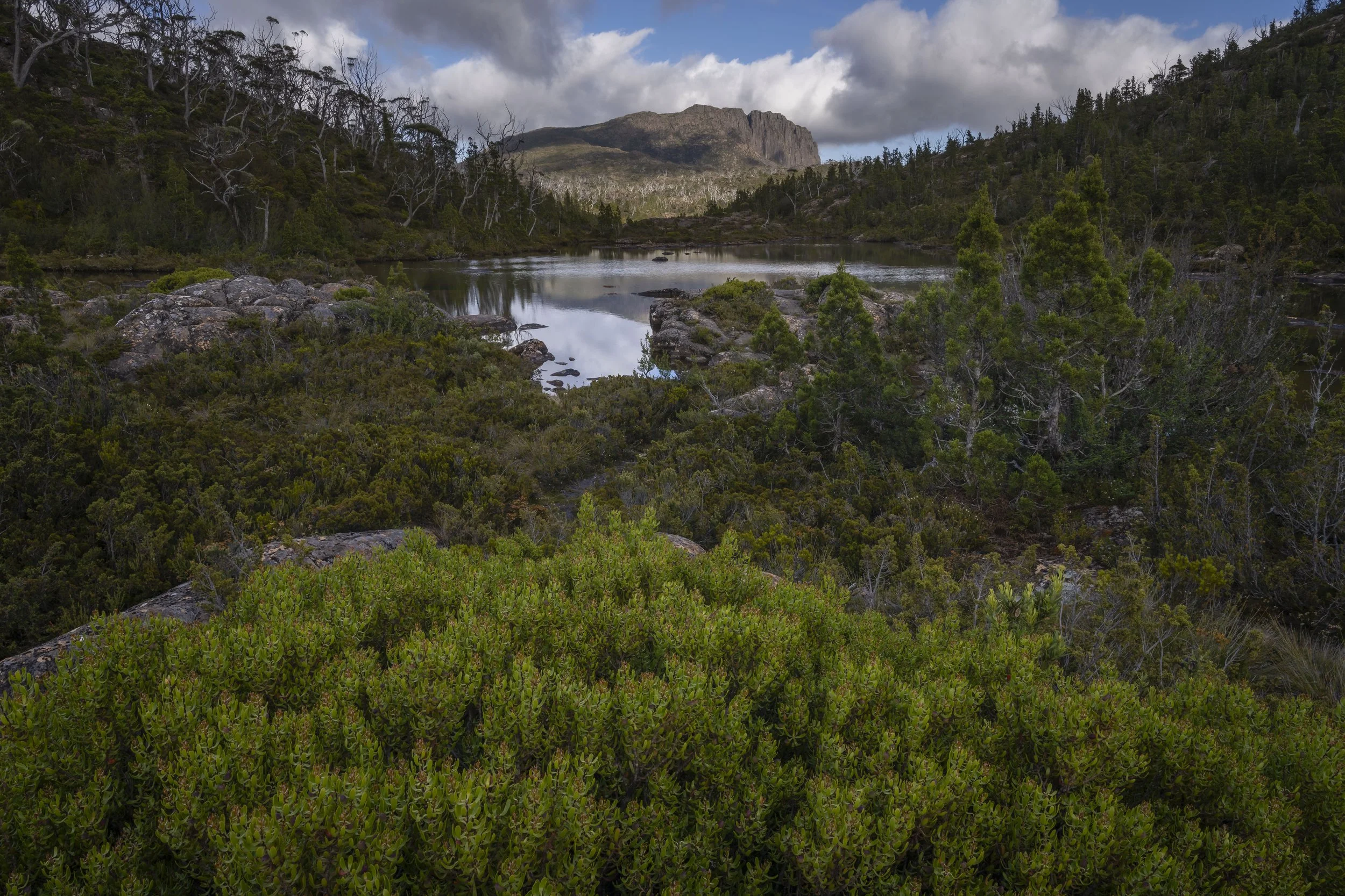Walled Mountain in Tasmania, Australia, bathed in warm light, highlighting rugged cliffs and alpine terrain