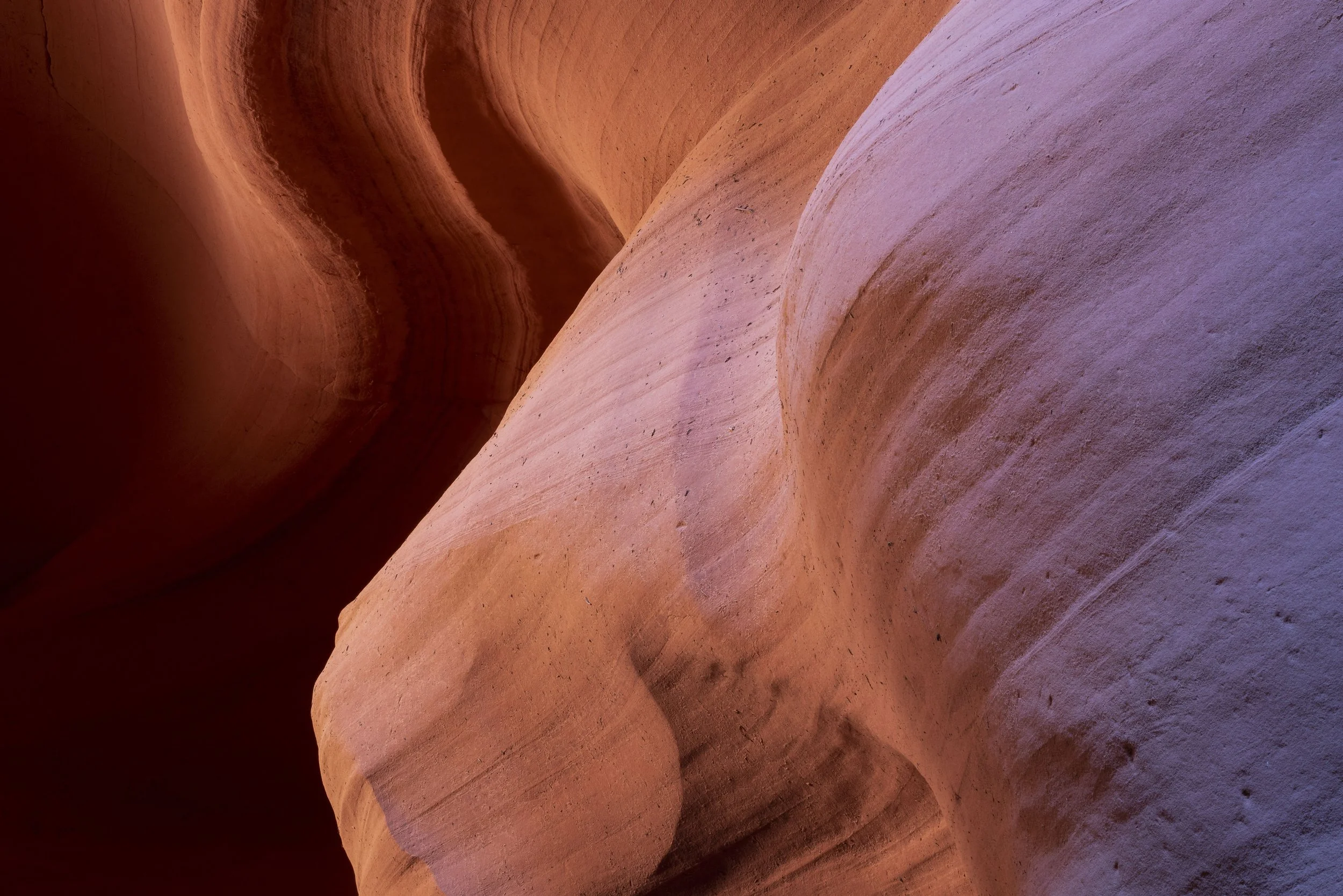 Canyon wall showing distinct rock layers and textures