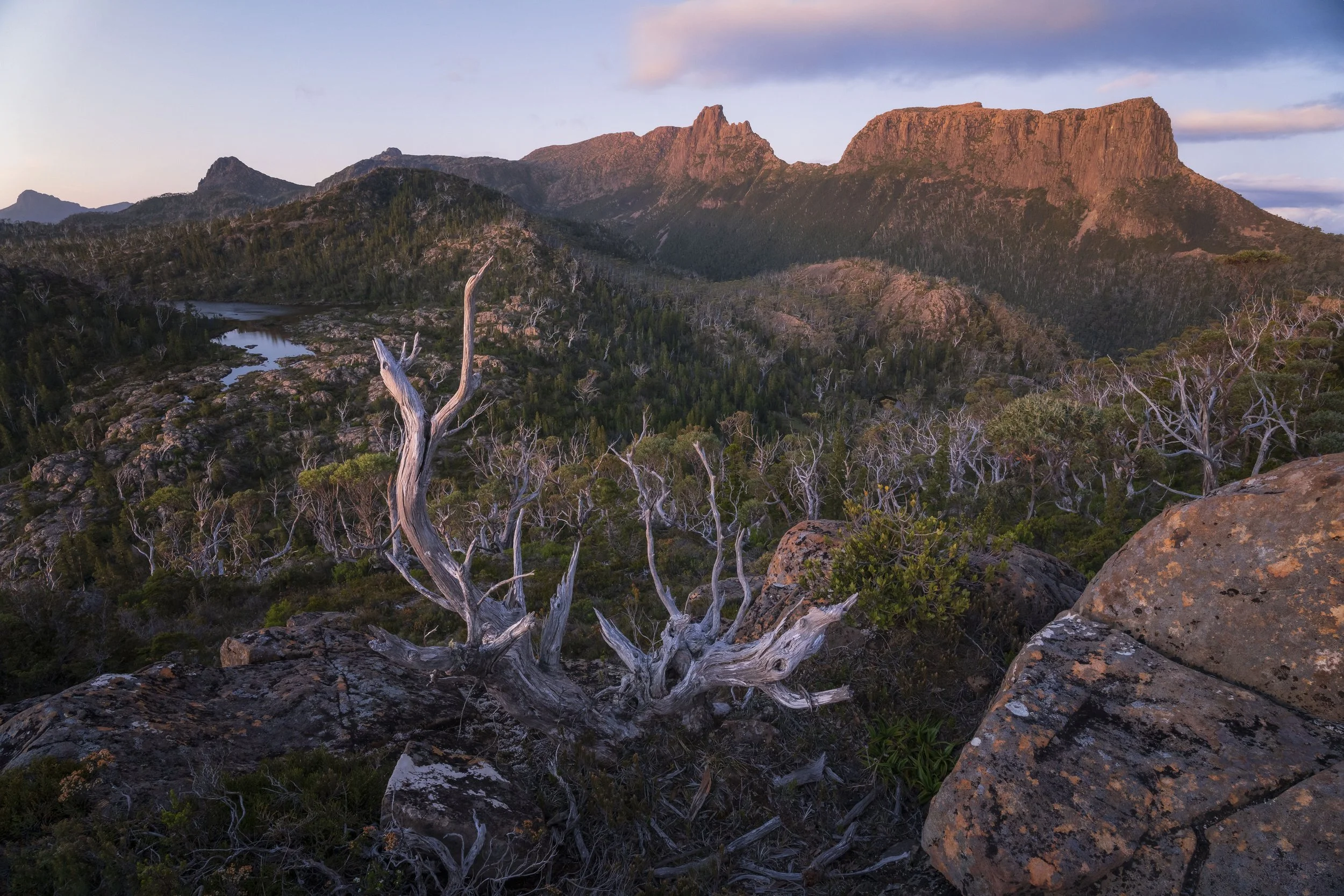 Tasmanian wilderness at sunset, showing mountain ranges, valleys, and forests illuminated by golden evening light