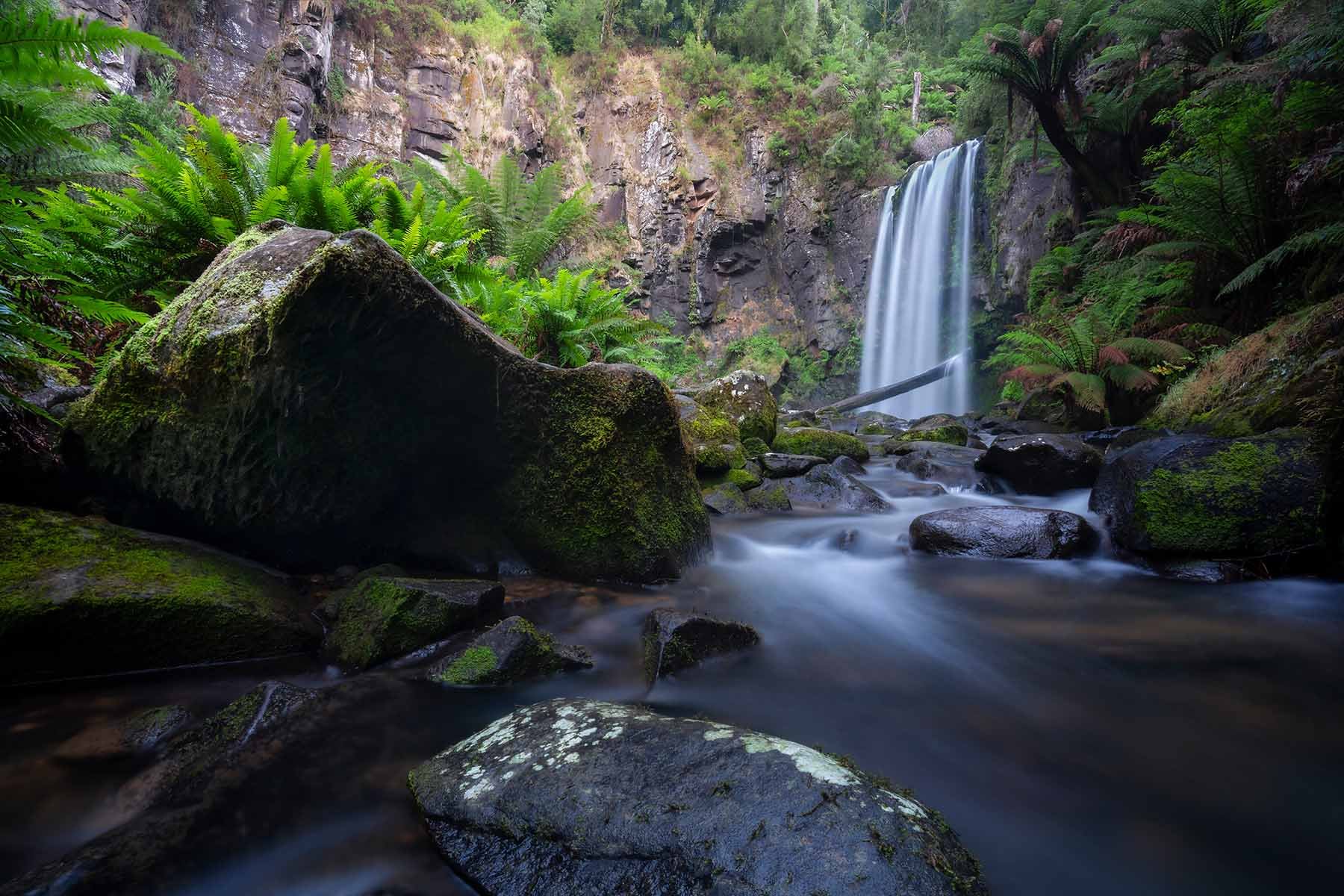 Powerful waterfall of Hopetoun Falls surrounded by lush forest