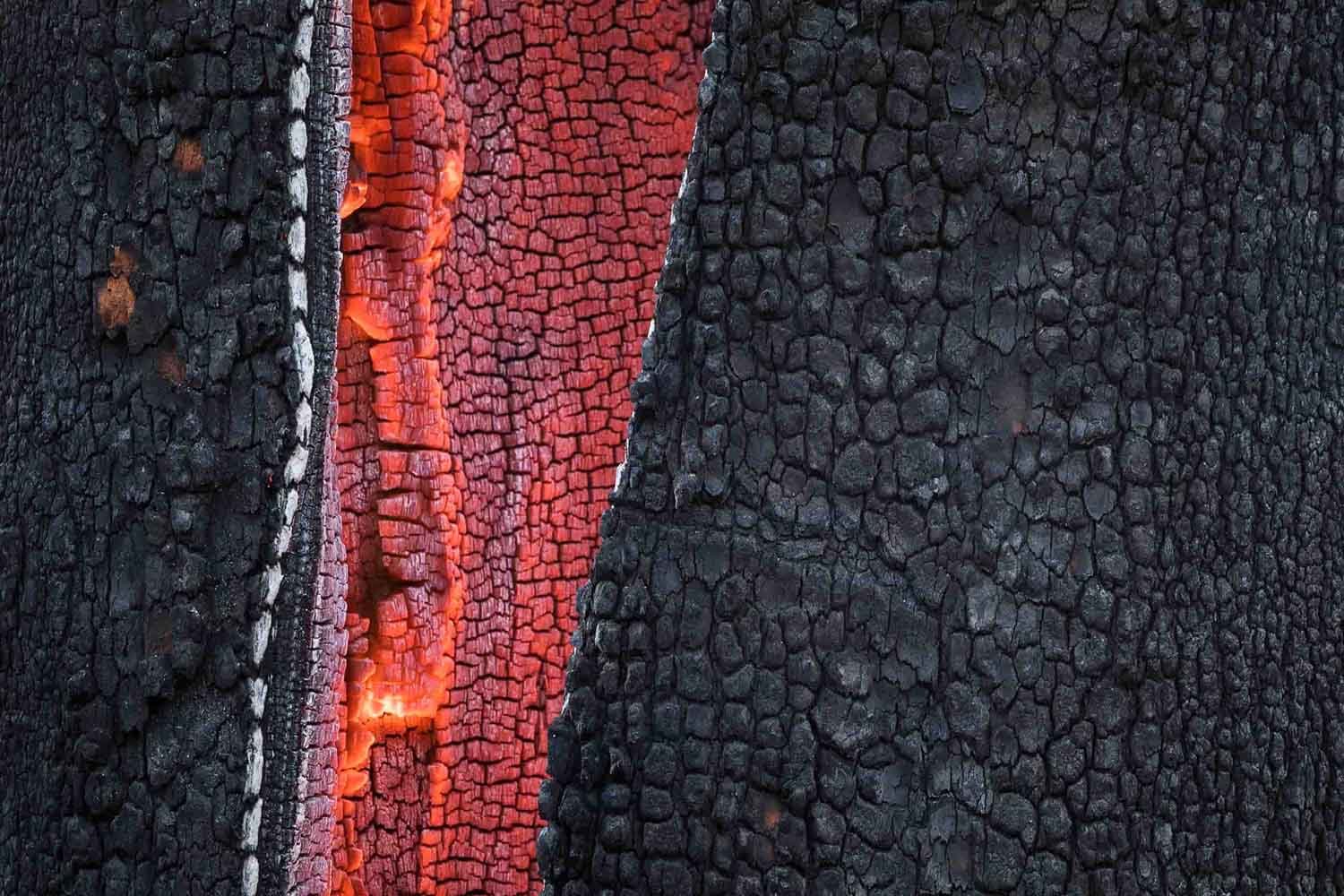 Glowing interior of a burning tree, with flames illuminating the charred wood inside