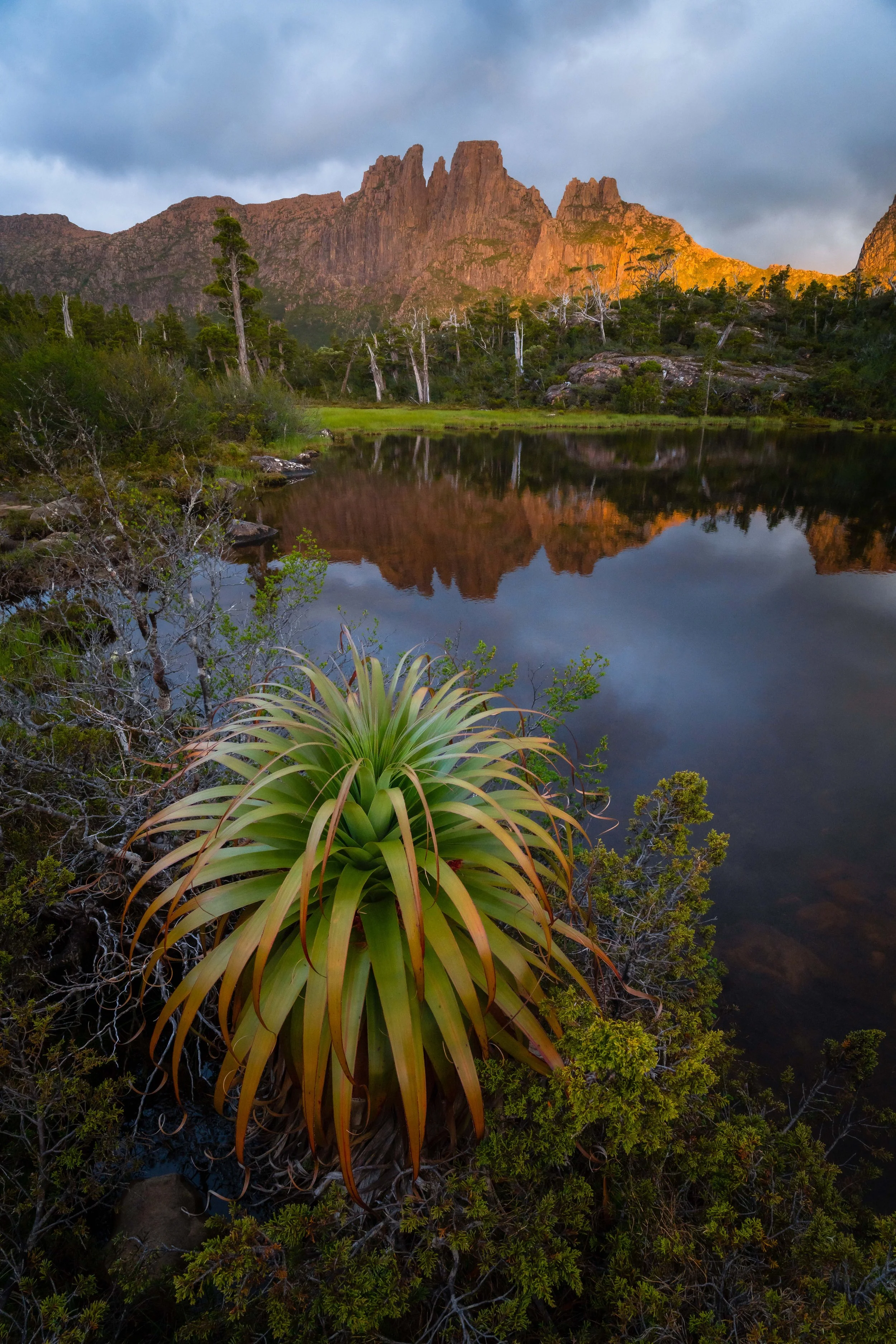 Tranquil Pool of Memories in Tasmania, Australia, with still water reflecting surrounding alpine landscape and native vegetation