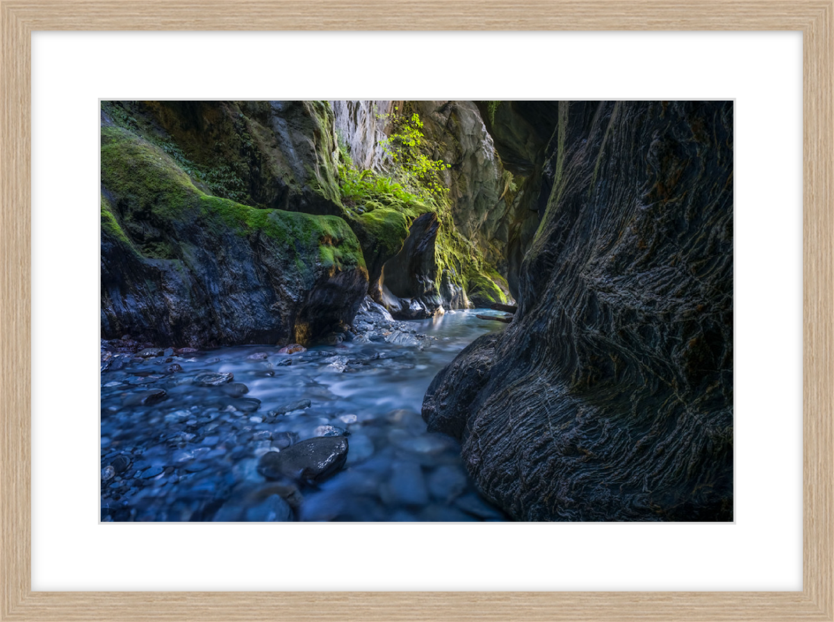 Where Water Wanders - Timber.png