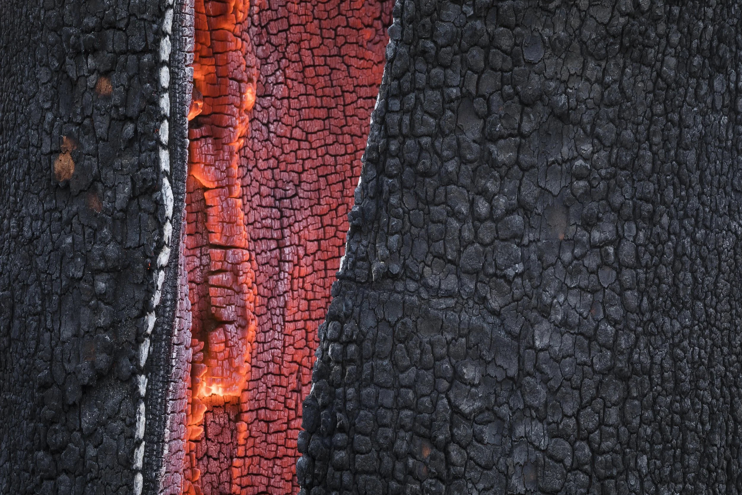 Flames burning inside a charred tree trunk