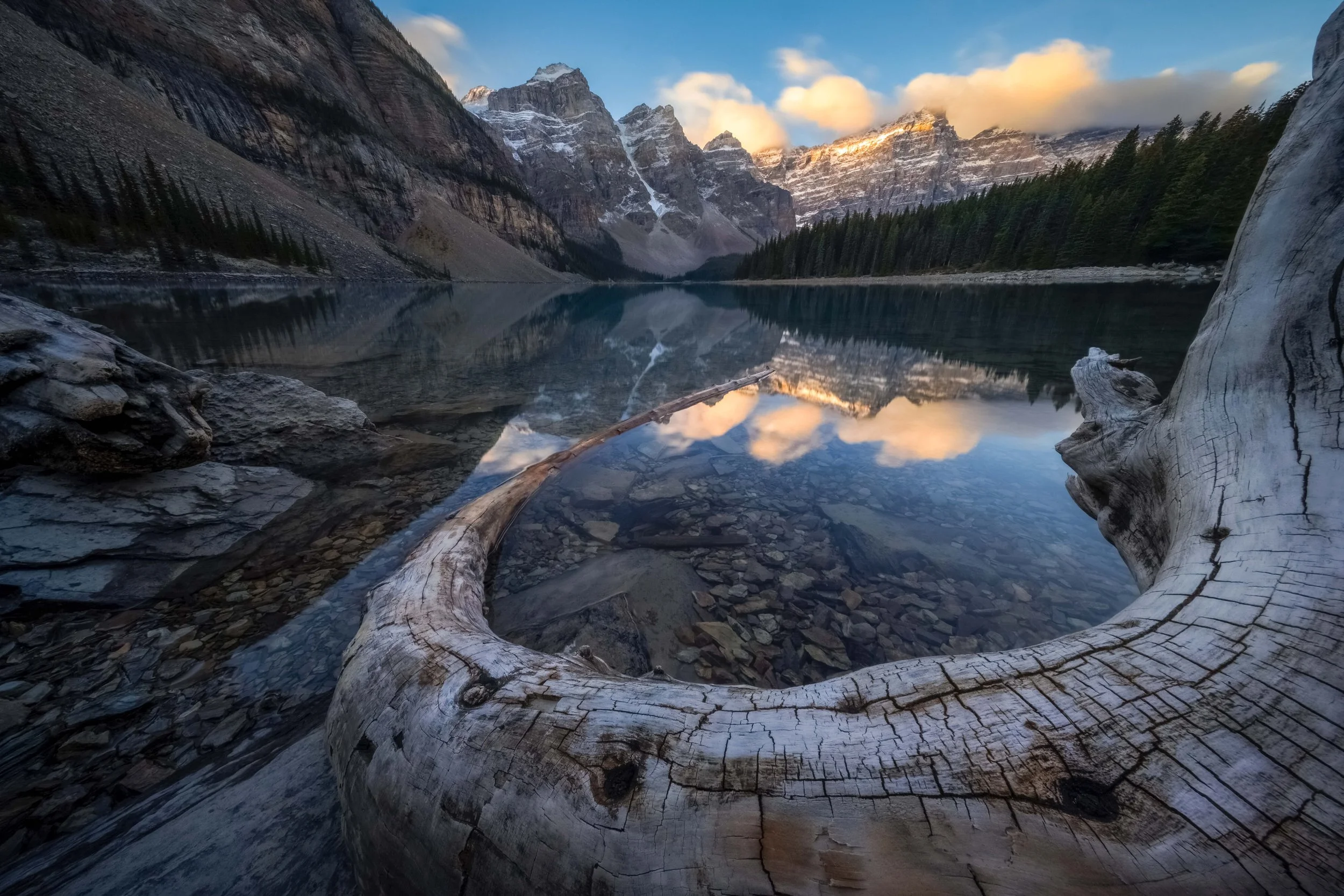 Tusk (2025) - Moraine Lake, Alberta, Canada

 Buy Print 
