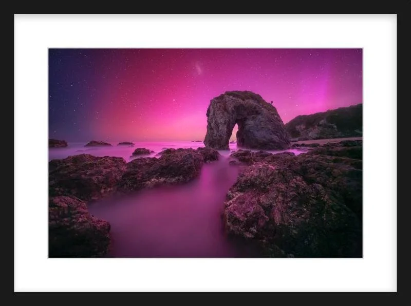 Stallion of the Southern Sky - Black.jpg