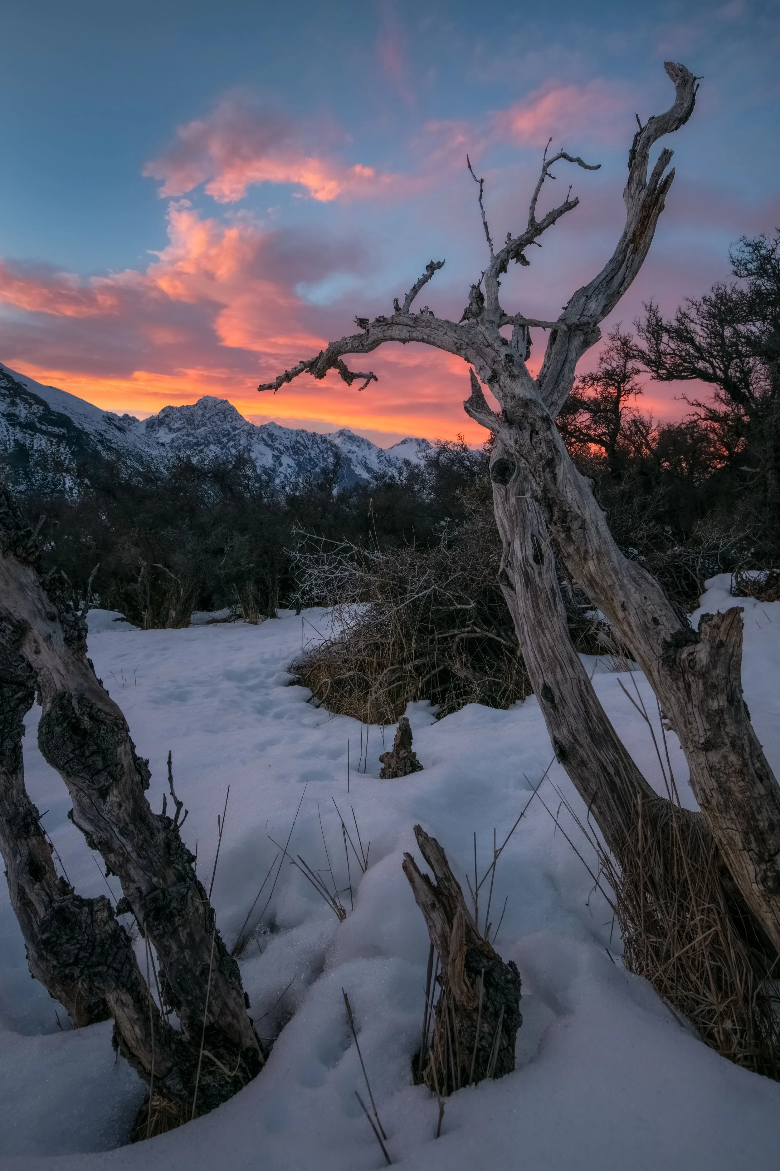 Eternity (2017) - Aoraki / Mount Cook National Park, South Island, New Zealand

 Buy Print 