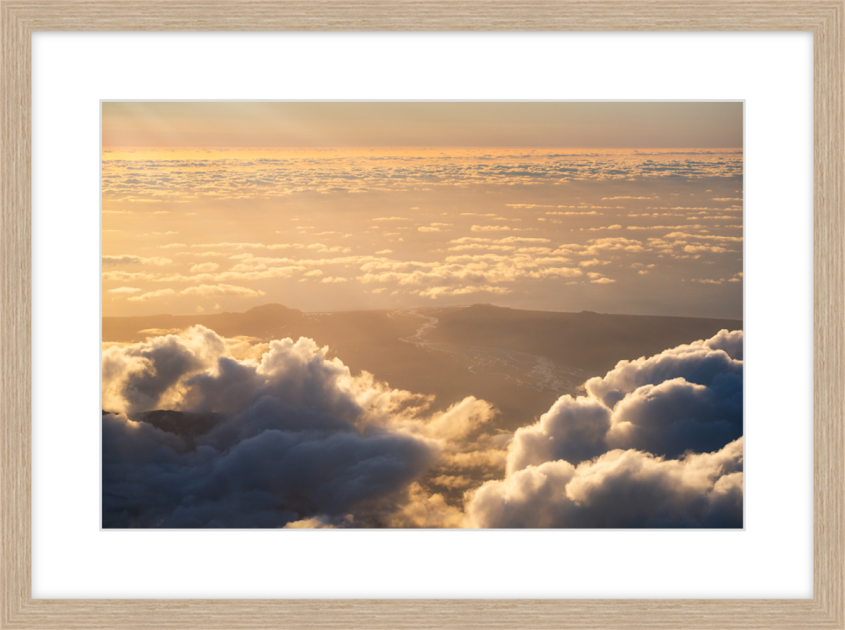 Edge of Aotearoa - Timber.png