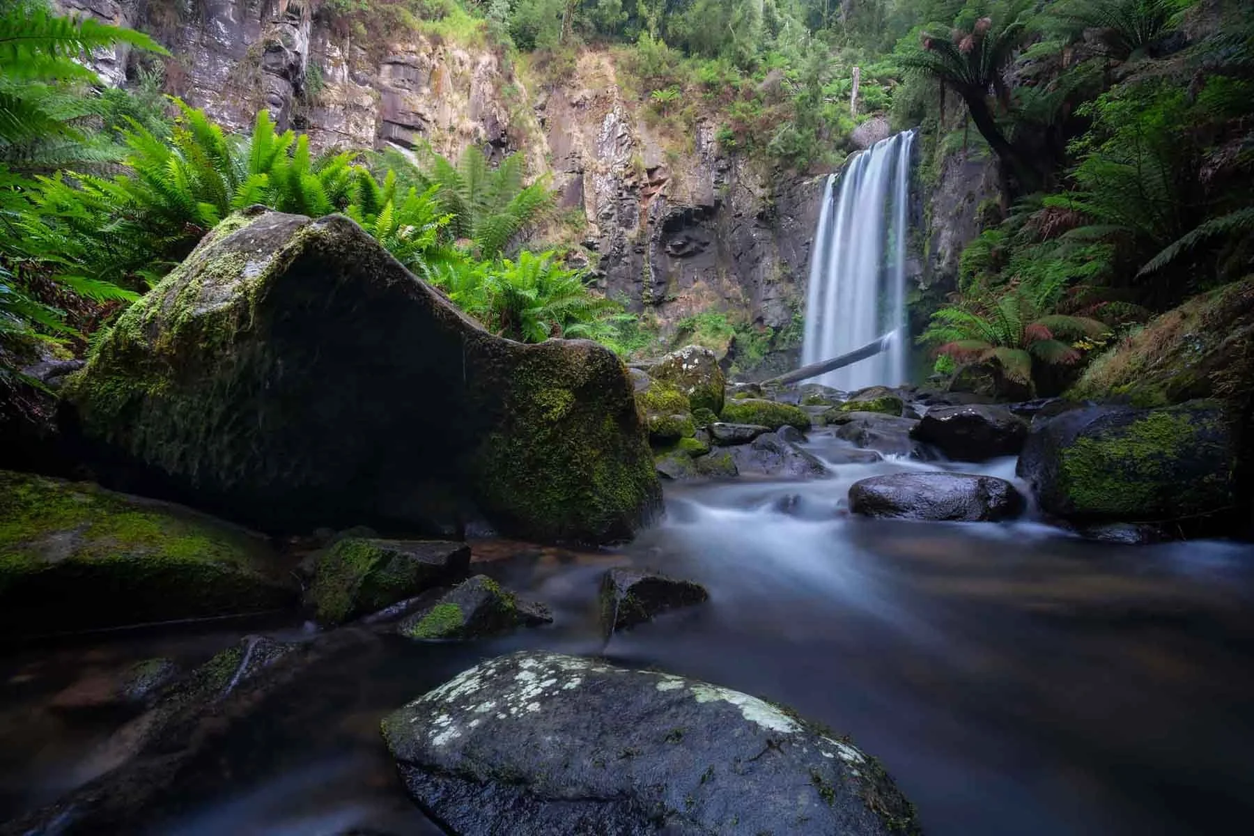 Hopetoun Falls cascading through lush rainforest in Victoria, Australia, with sunlight filtering through the trees