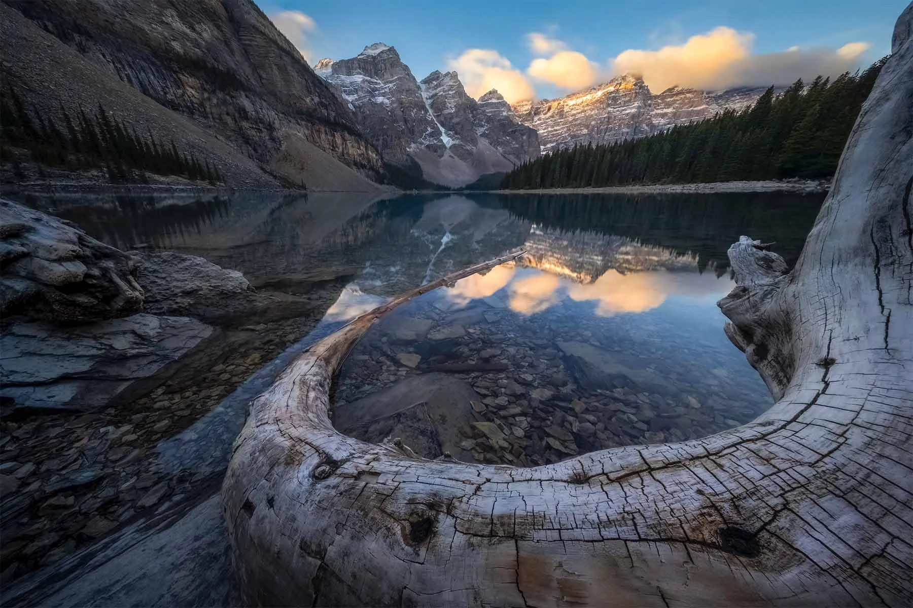 Large log curving towards beautiful mountains