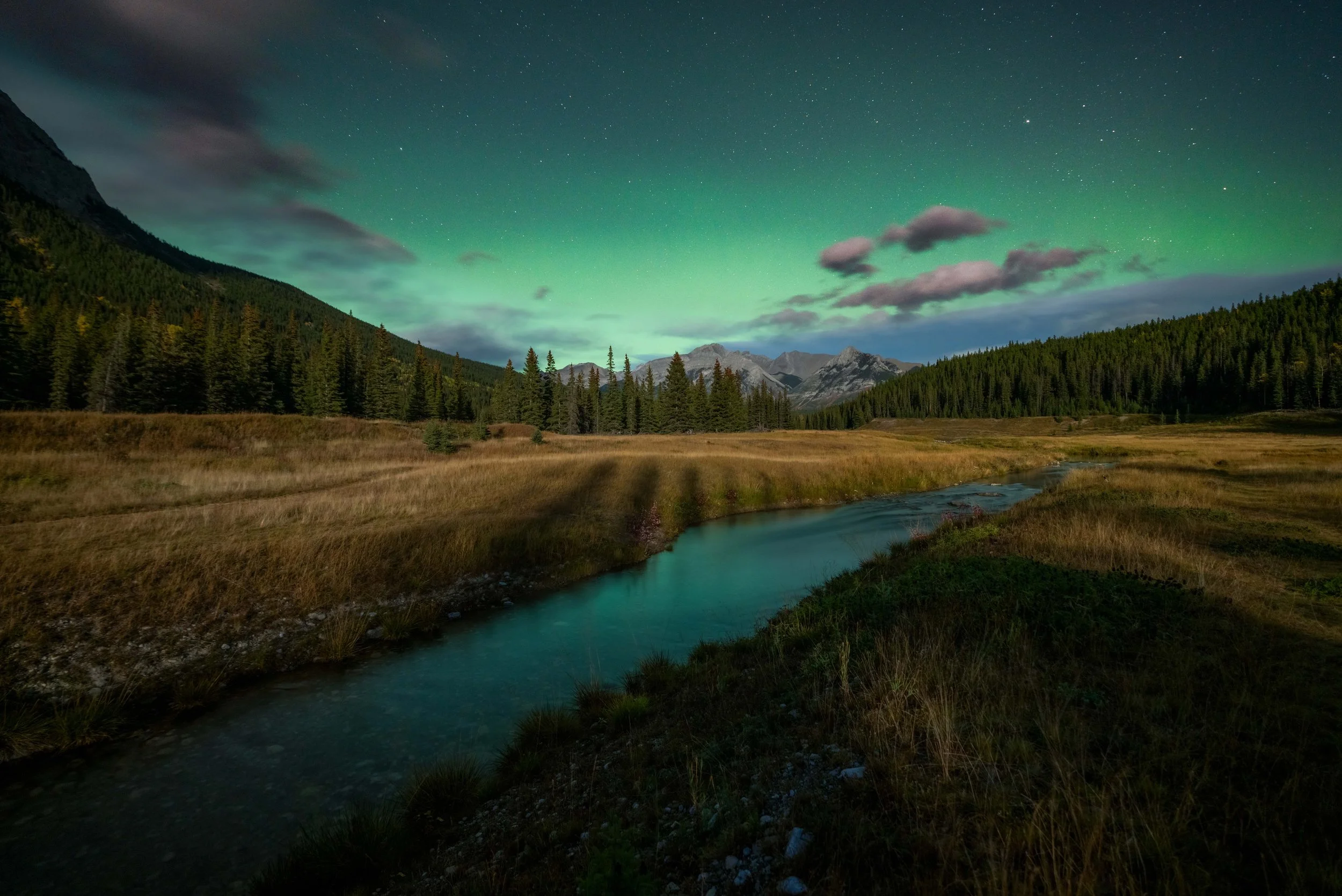 Emerald (2025) - Canmore, Alberta, Canada

 Buy Print 