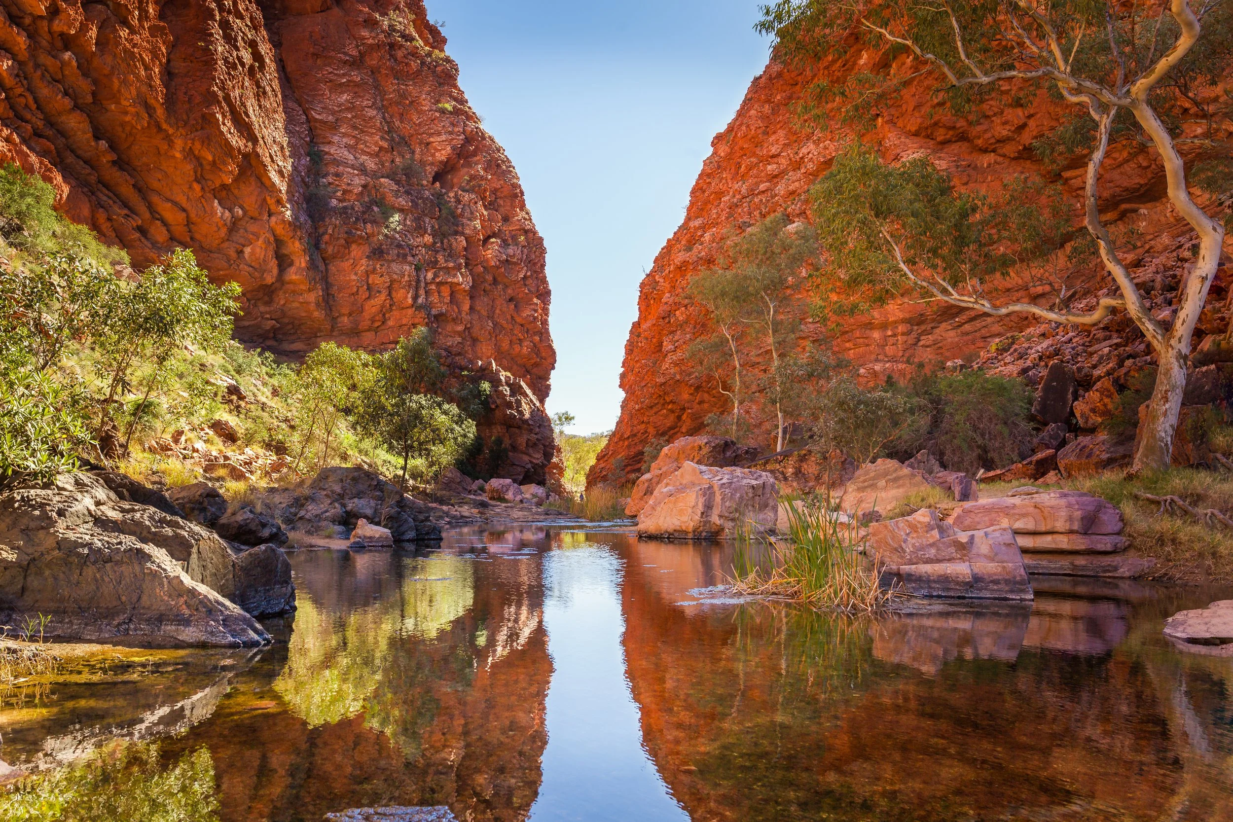Ancient red quartzite cliffs rising above the sandy creek bed at Simpsons Gap in Central Australia.