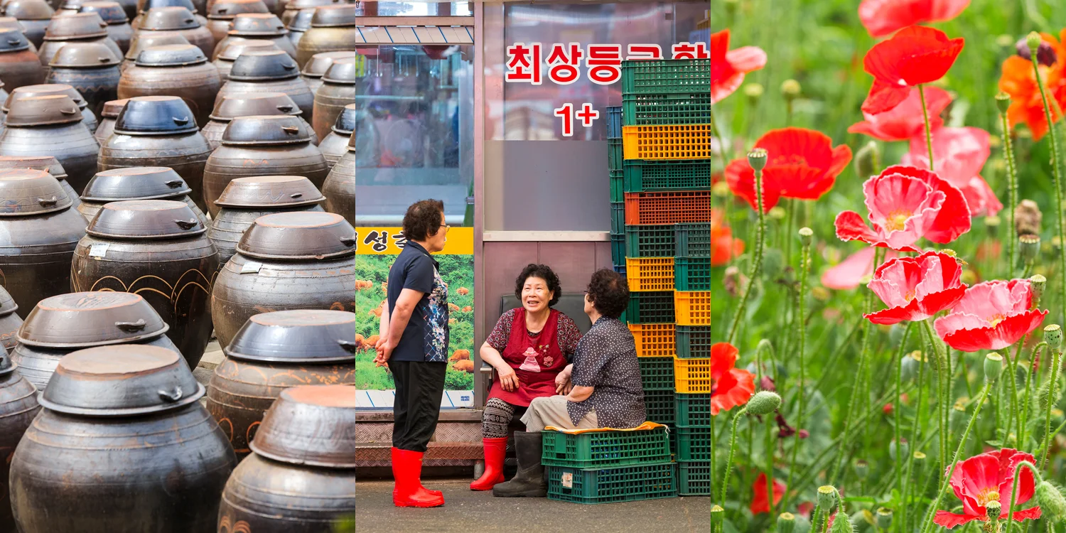 travel photographer - delicious. Magazine, Global Kitchen Seoul, words Matt Preston