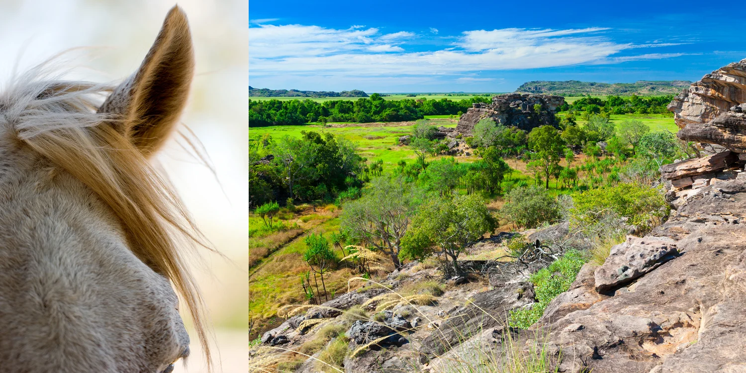 travel photography - the top end, australia