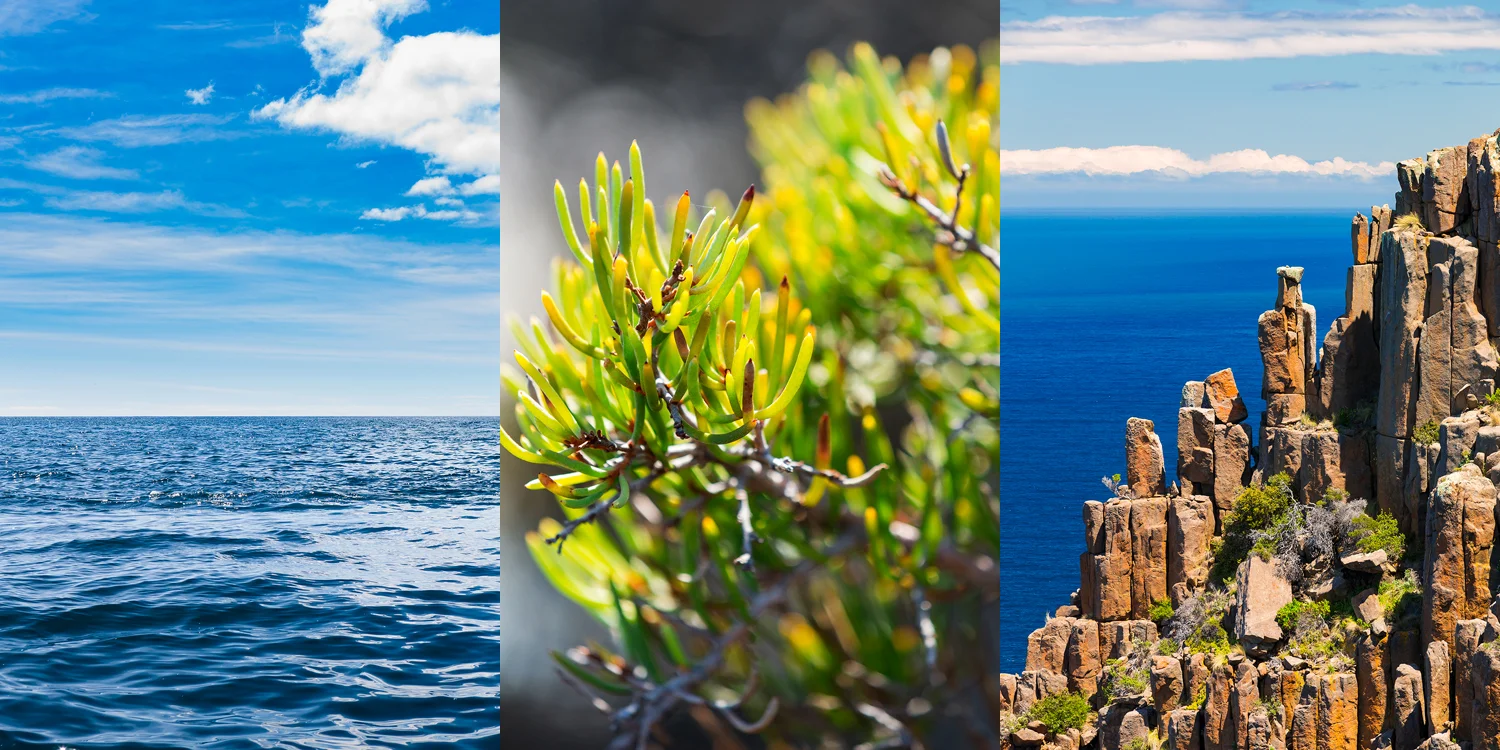 Travel photographer - Lonely Planet Traveller UK Magazine - Tasmania