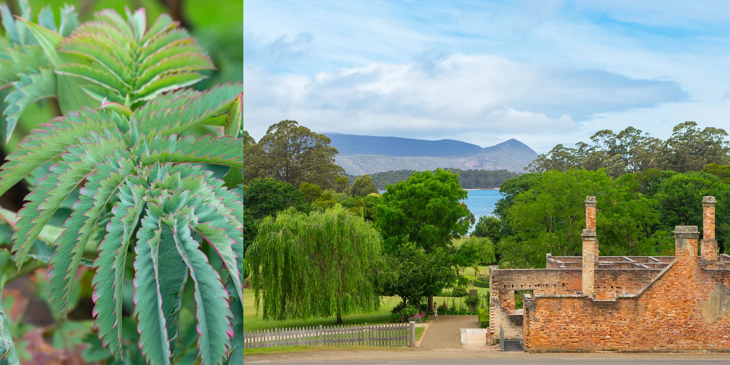 travel photographer - Lonely Planet Traveller UK Magazine - Tasmania