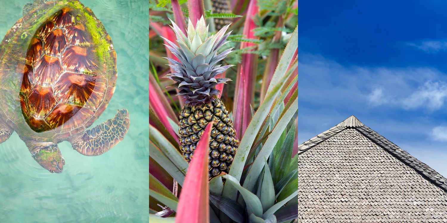 travel photographer - Vogue E+T, French Polynesia, words carrie hutchinson