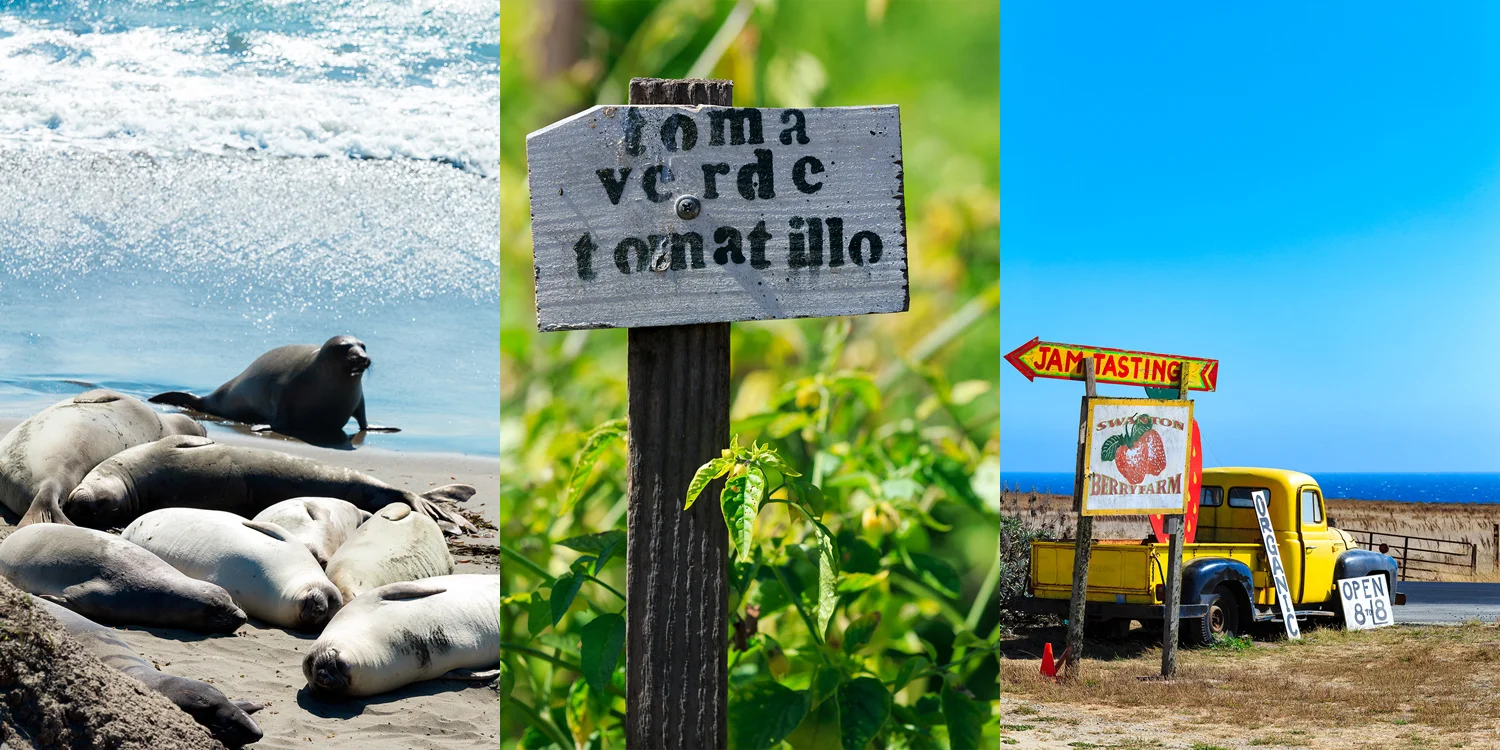 travel photography - California Hwy 1 - delicious. Magazine, words Matt Preston