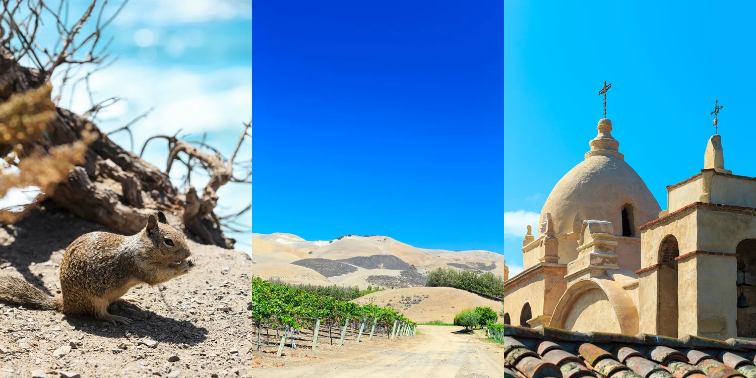 travel photography - California Hwy 1 - delicious. Magazine, words Matt Preston
