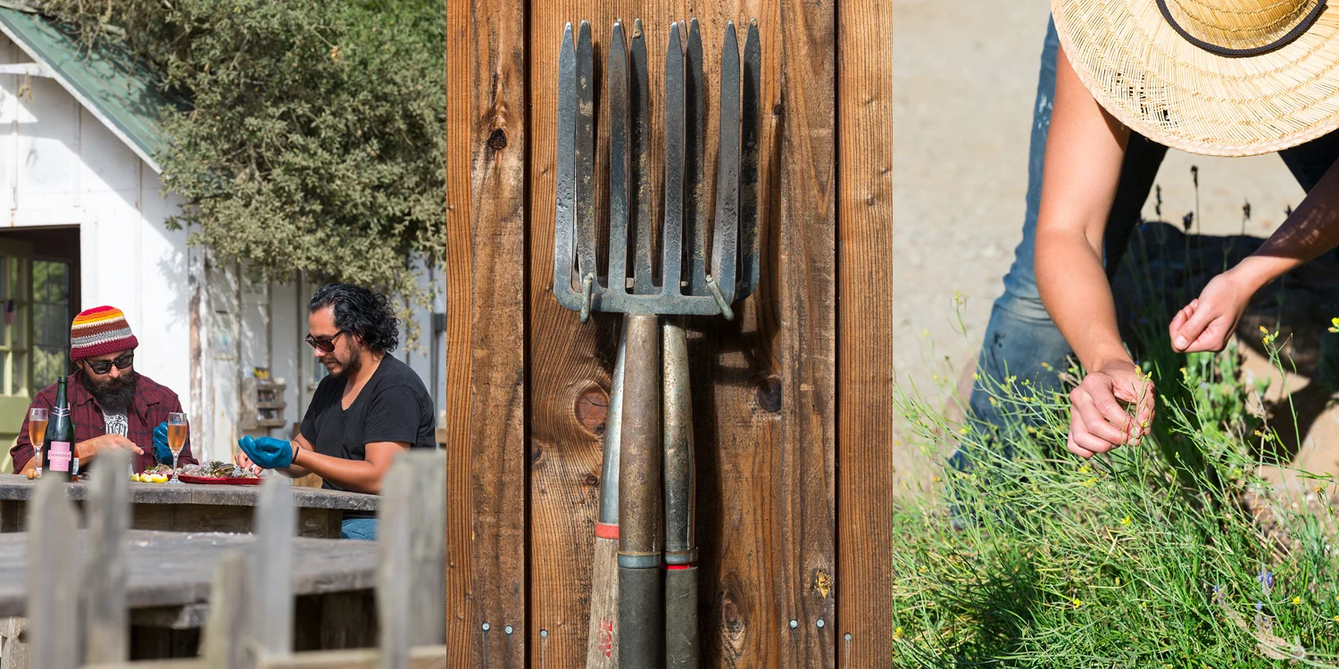 travel photography - California Hwy 1 - delicious. Magazine, words Matt Preston