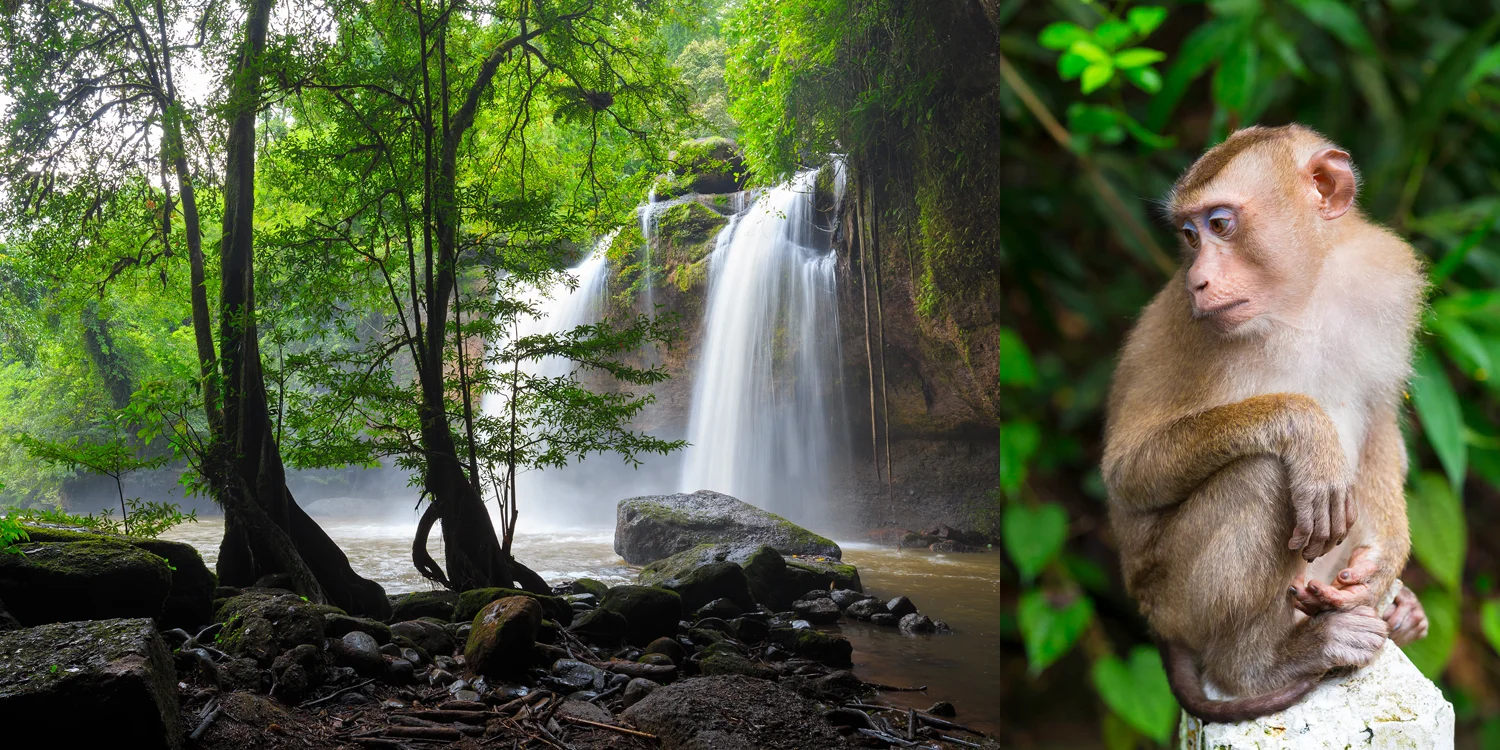 Travel Photography - Lonely Planet Traveller (UK) Magazine - Great Escape, Northern Thailand. Words Oliver Berry