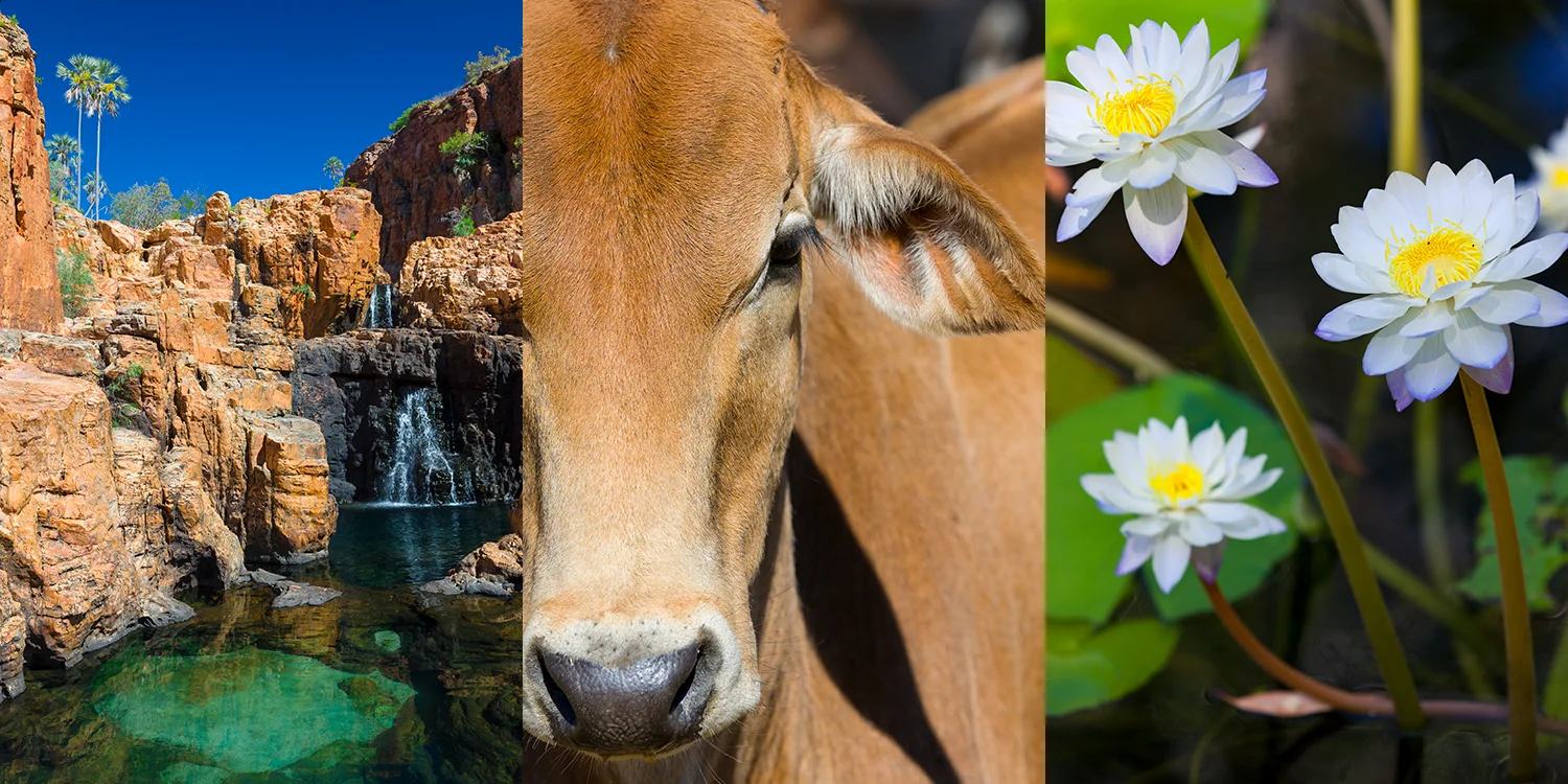 travel photography - the top end, Vogue E+T, Lonely Planet Traveller UK